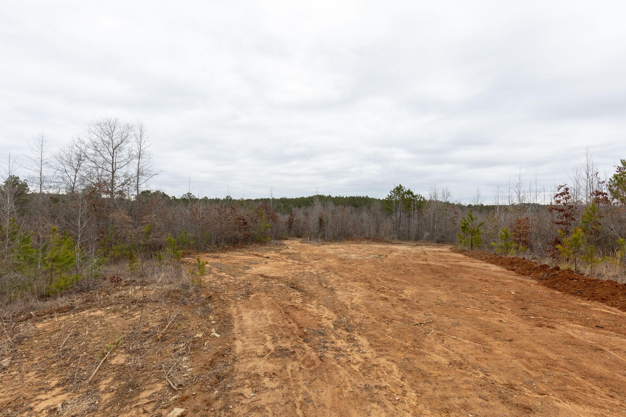 Baker Creek — Zero Credit Land owner financed land for sale in Fayette County, Alabama