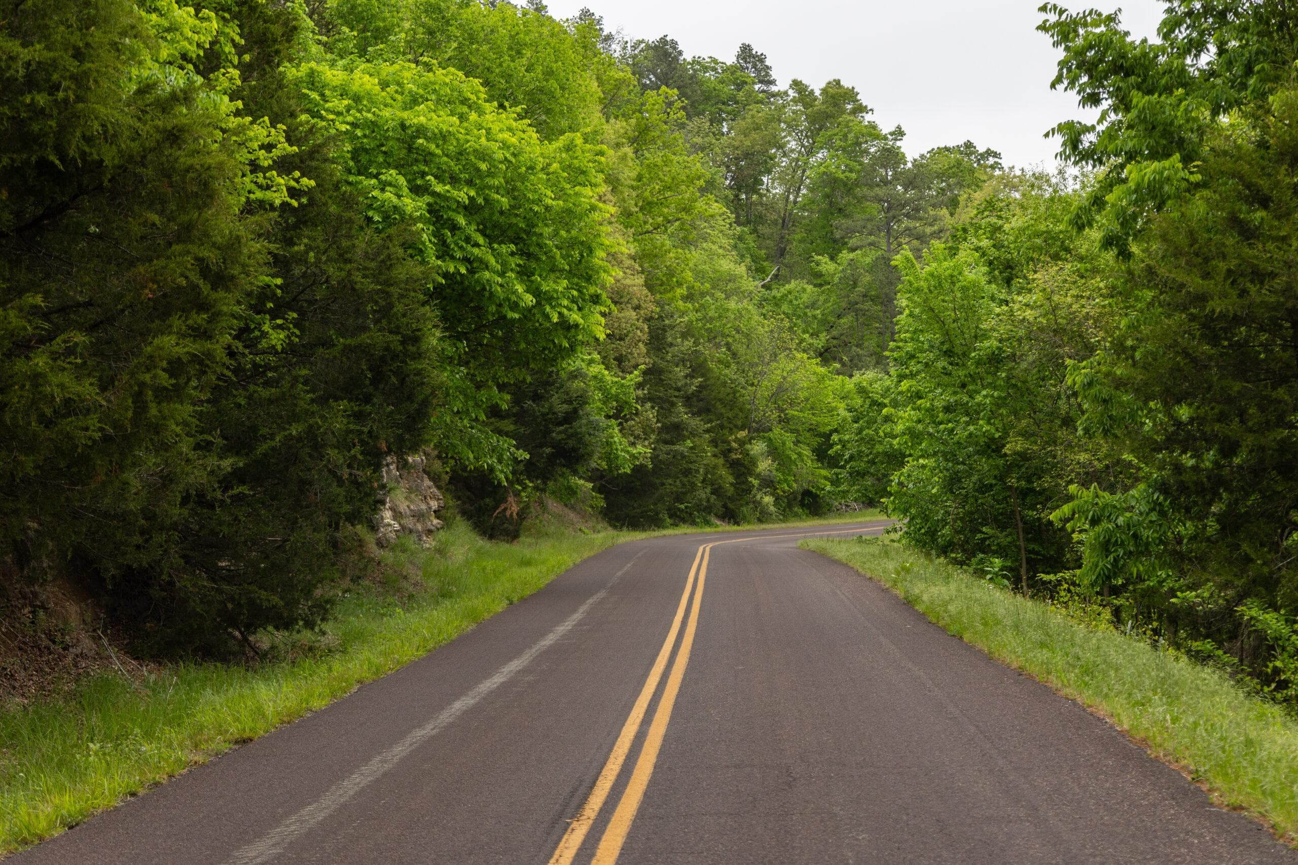 Double S Ranch — Zero Credit Land owner financed land for sale in Missouri photo 6