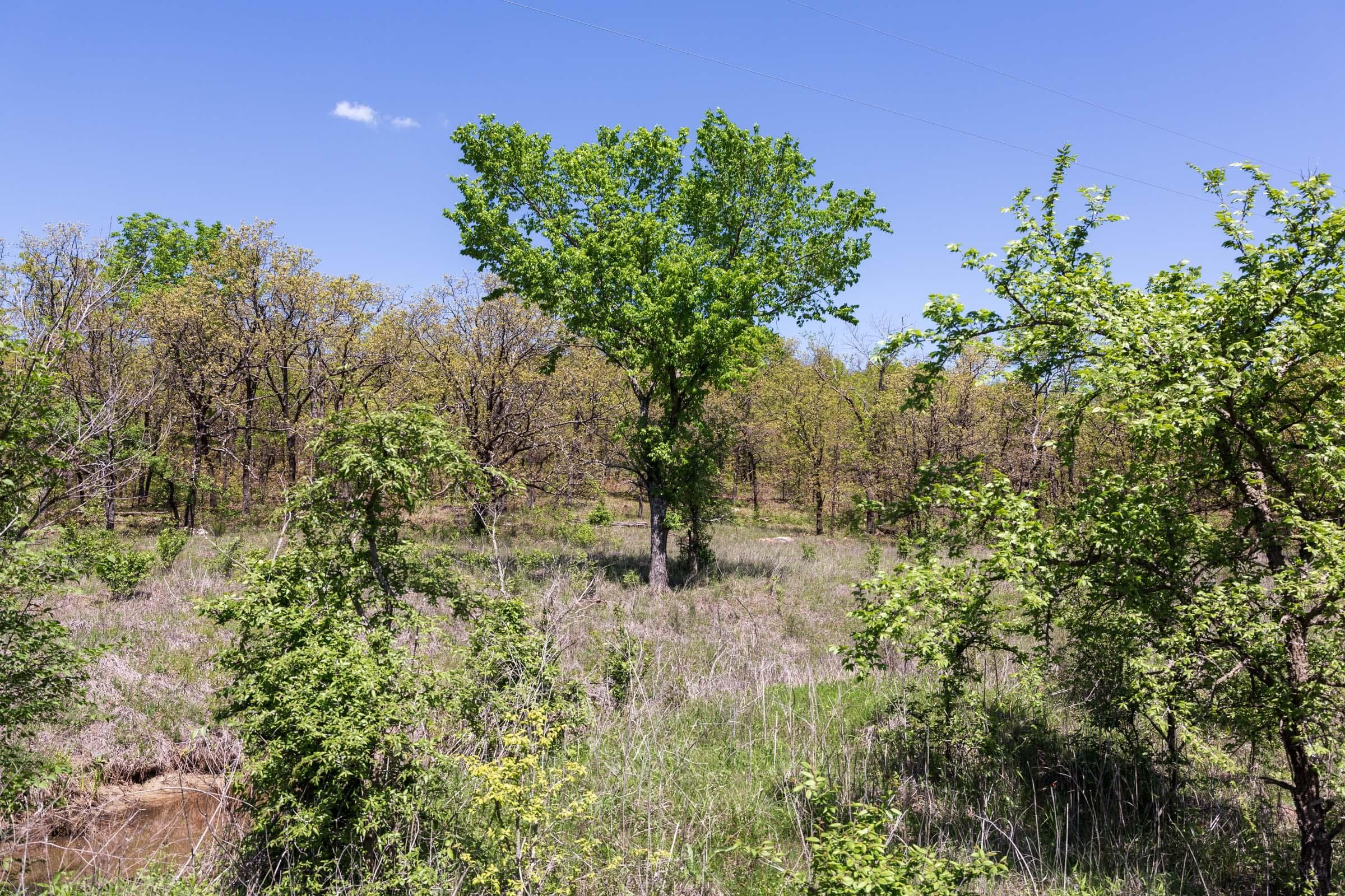 Allies Acres — Zero Credit Land owner financed land for sale in Pittsburg County, Oklahoma photo 11