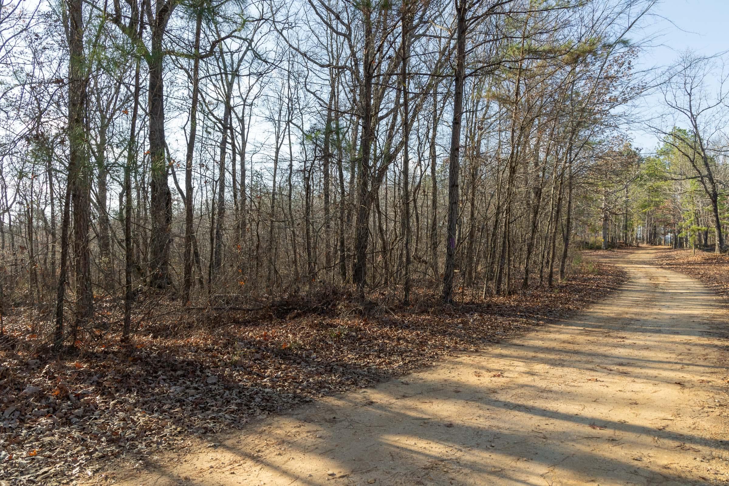 Lighting Ridge — Zero Credit Land owner financed land for sale in Colbert County, Alabama photo 11