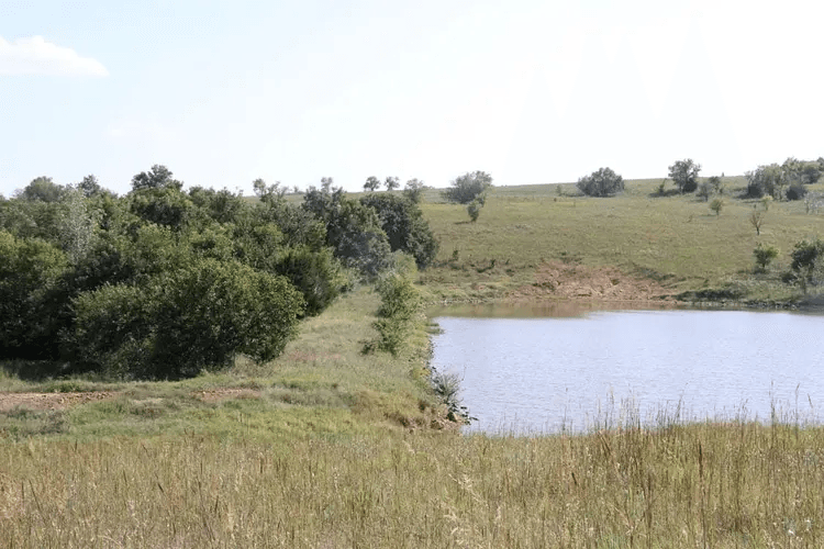 Cowboy Meadows — Zero Credit Land owner financed land for sale in Chautauqua County, Kansas