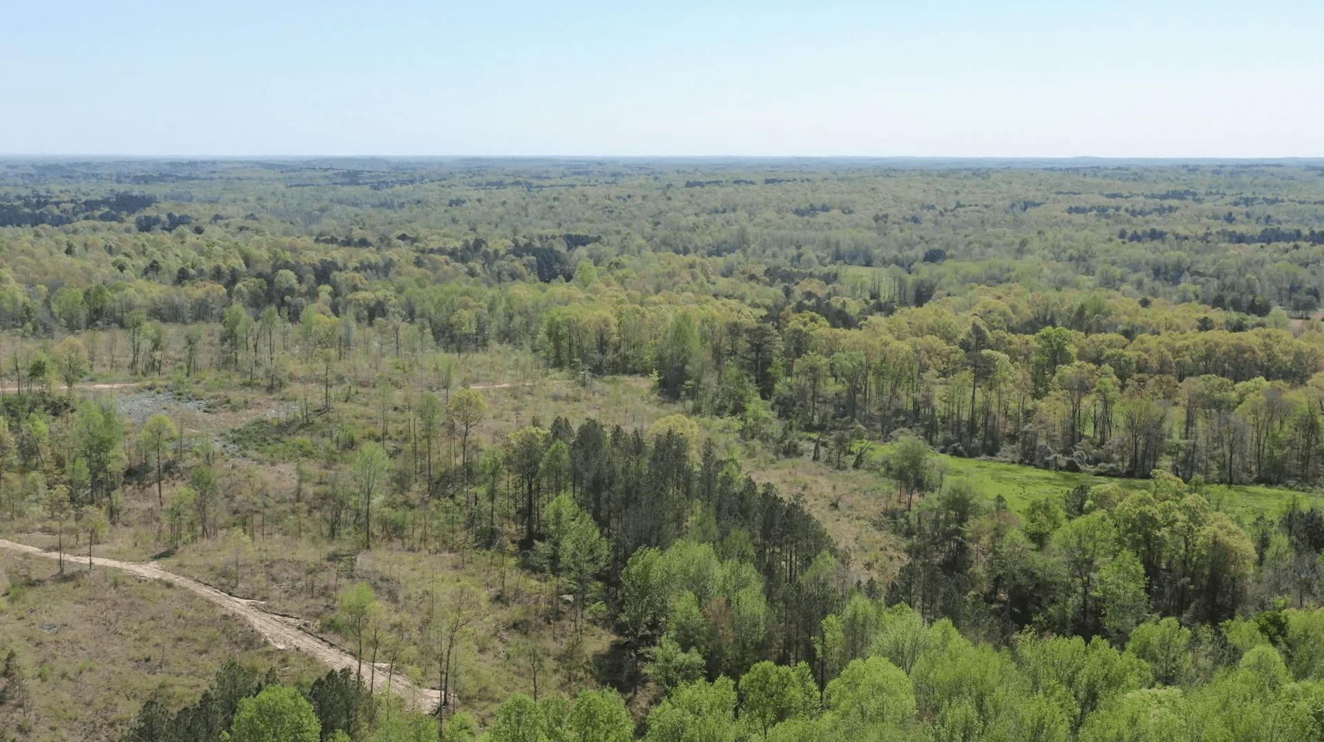 Twin Rivers — Zero Credit Land owner financed land for sale in Henderson County, Tennessee photo 3