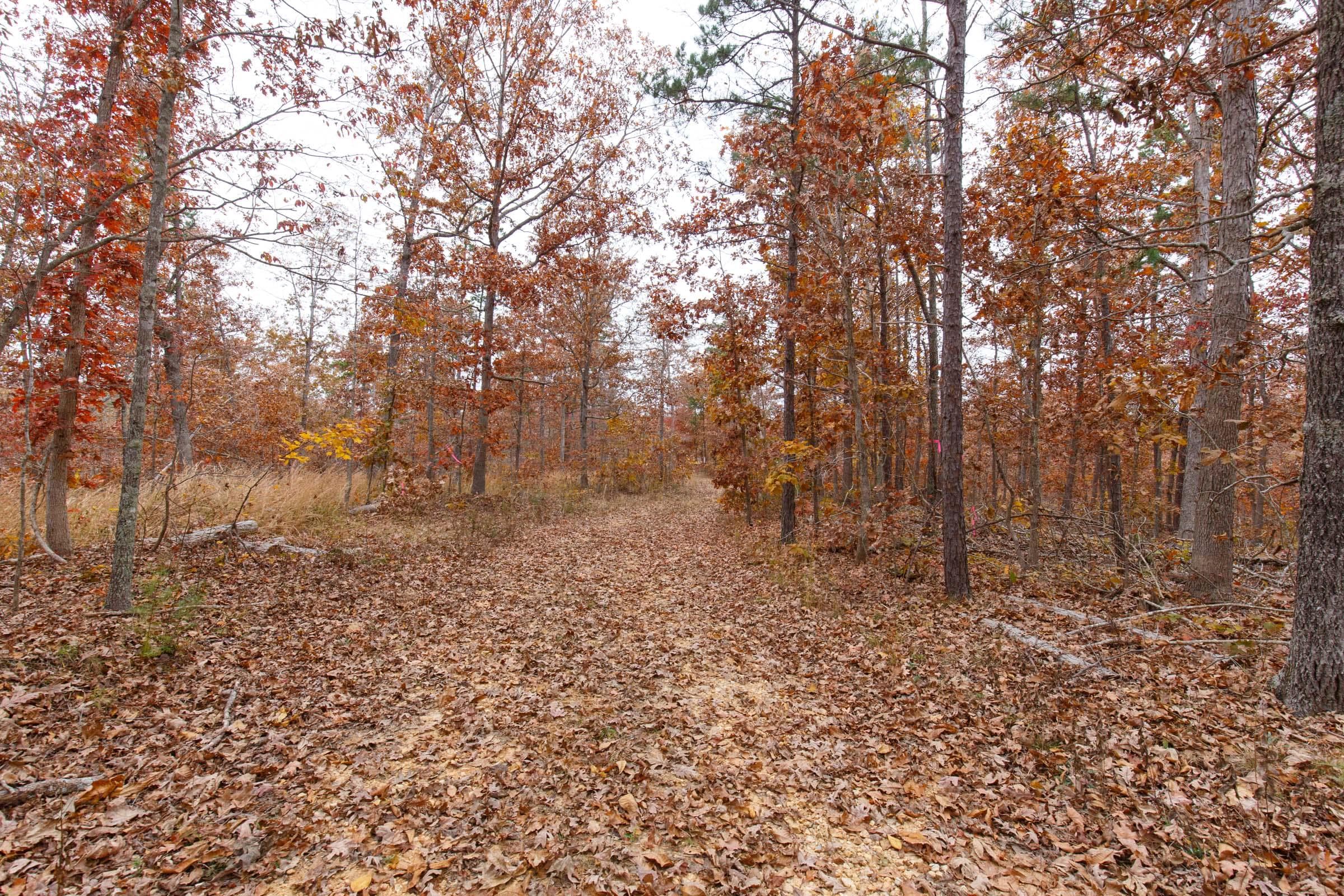 Hawk Crest — Zero Credit Land owner financed land for sale in Reynolds County, Missouri photo 12