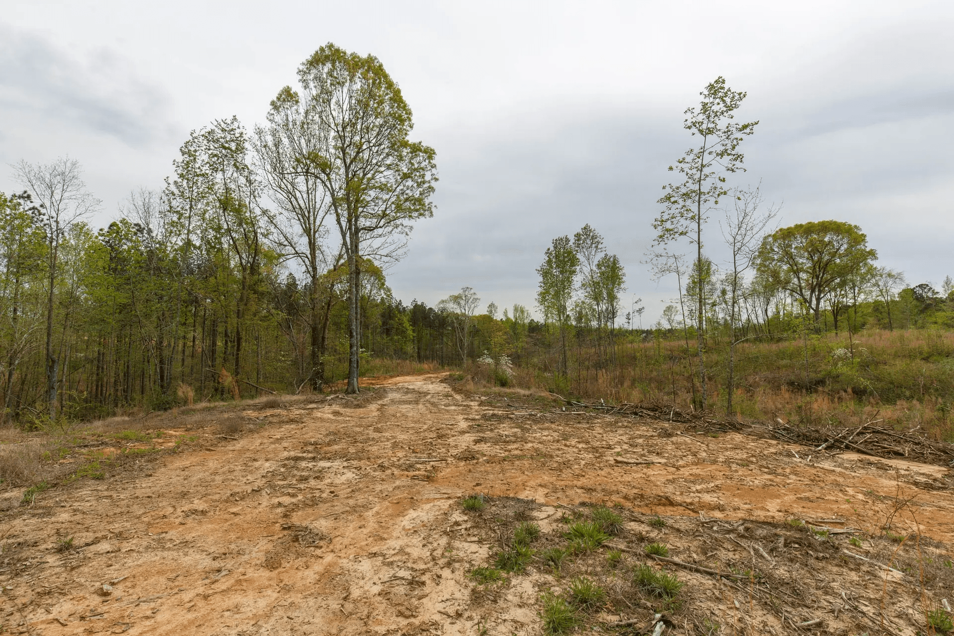 Twin Rivers — Zero Credit Land owner financed land for sale in Henderson County, Tennessee photo 3