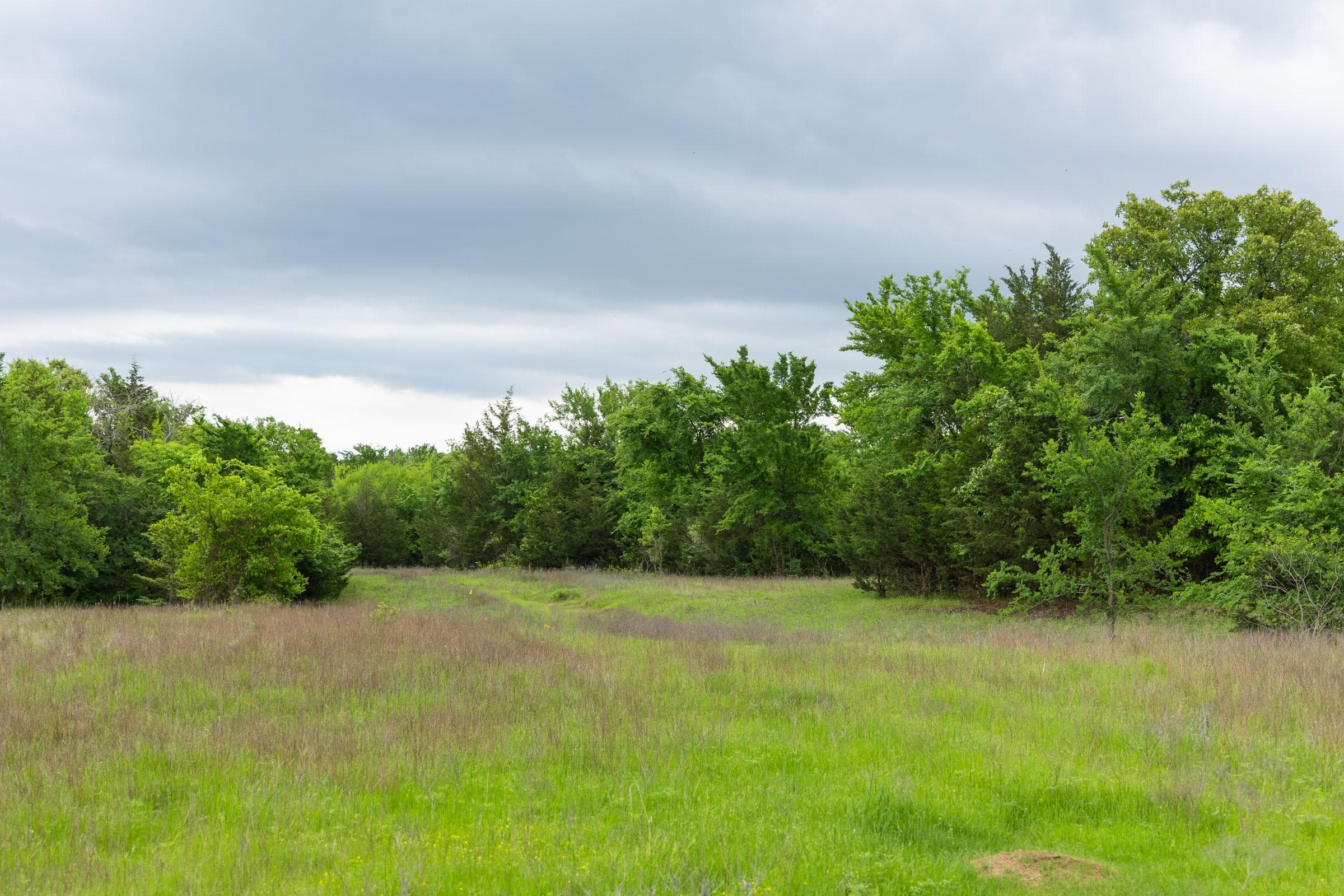 Harmony Hills — Zero Credit Land owner financed land for sale in Pittsburg County, Oklahoma photo 151