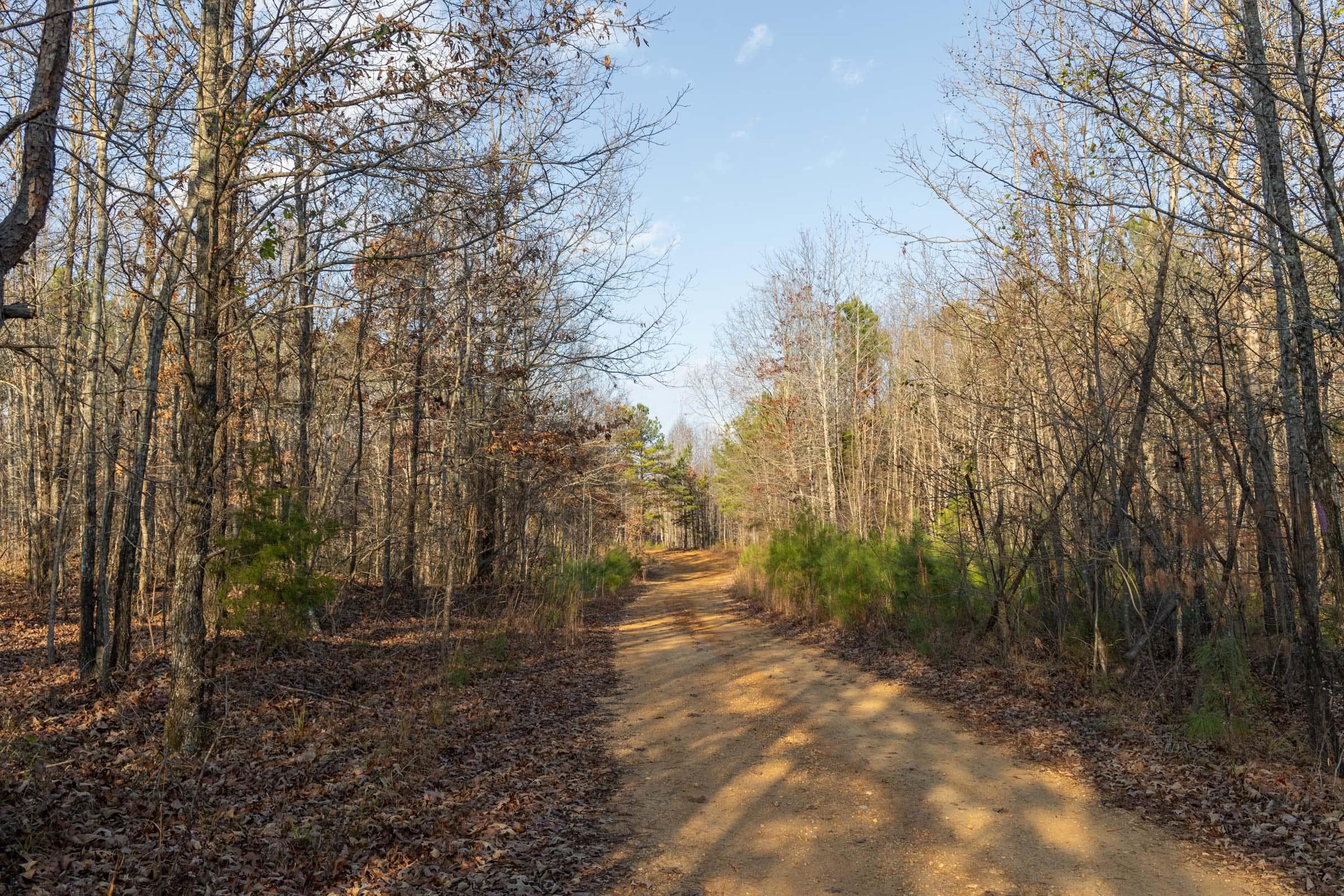 Lighting Ridge — Zero Credit Land owner financed land for sale in Colbert County, Alabama photo 29