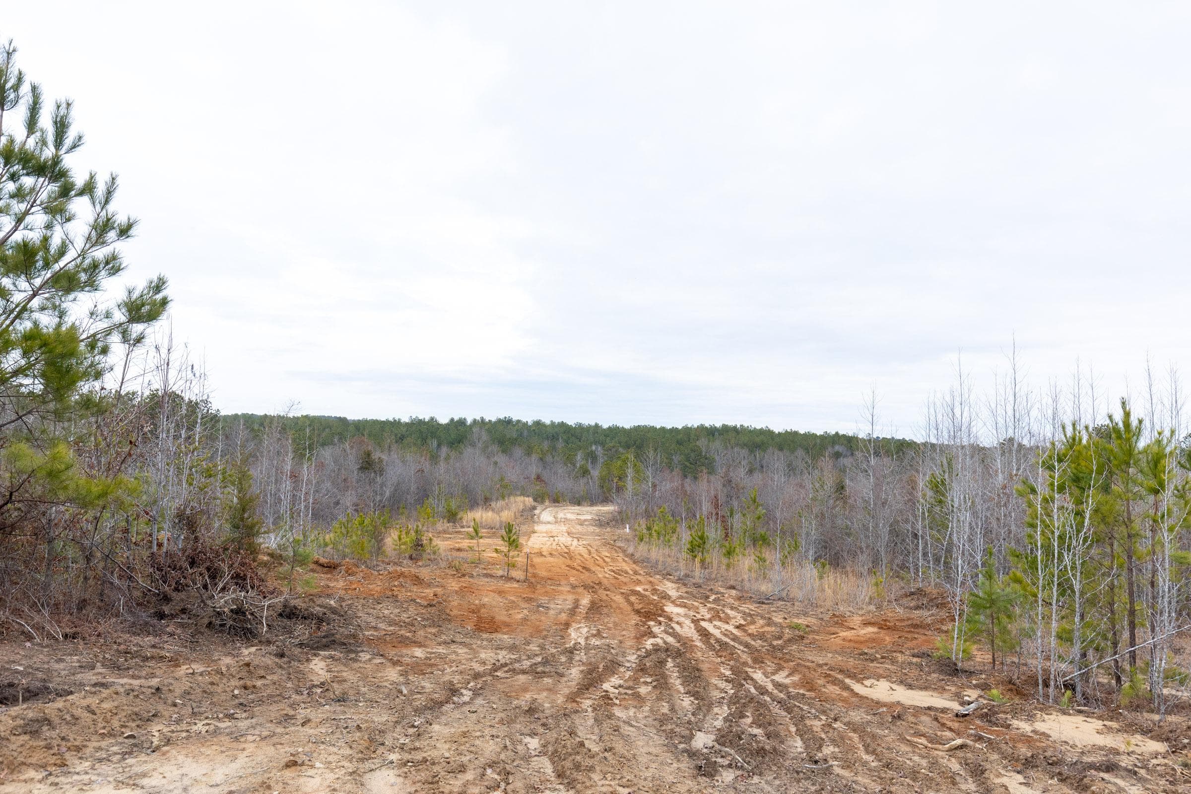 Baker Creek — Zero Credit Land owner financed land for sale in Fayette County, Alabama photo 5