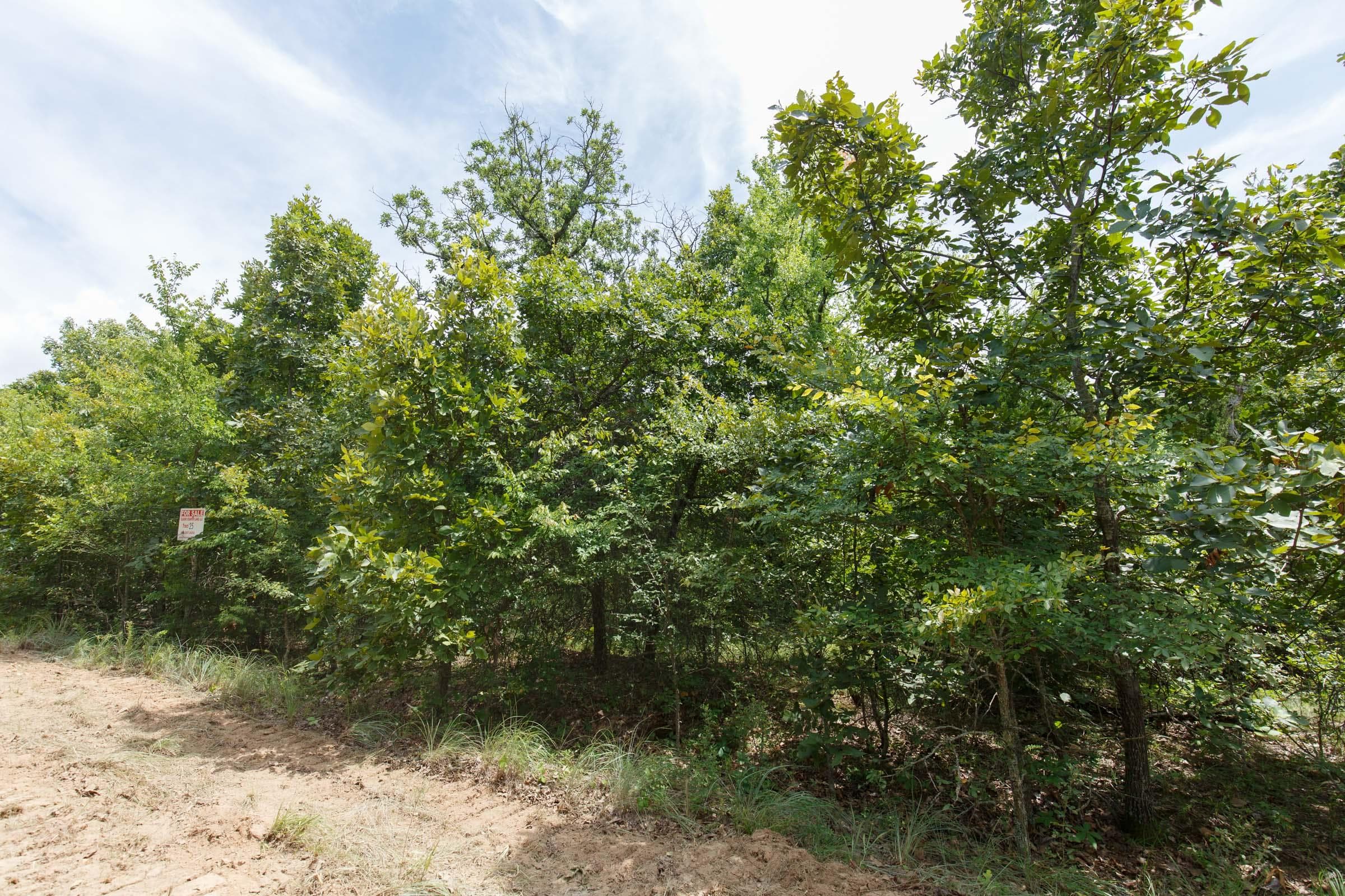 Timber Ridge — Zero Credit Land owner financed land for sale in McIntosh County, Oklahoma photo 17