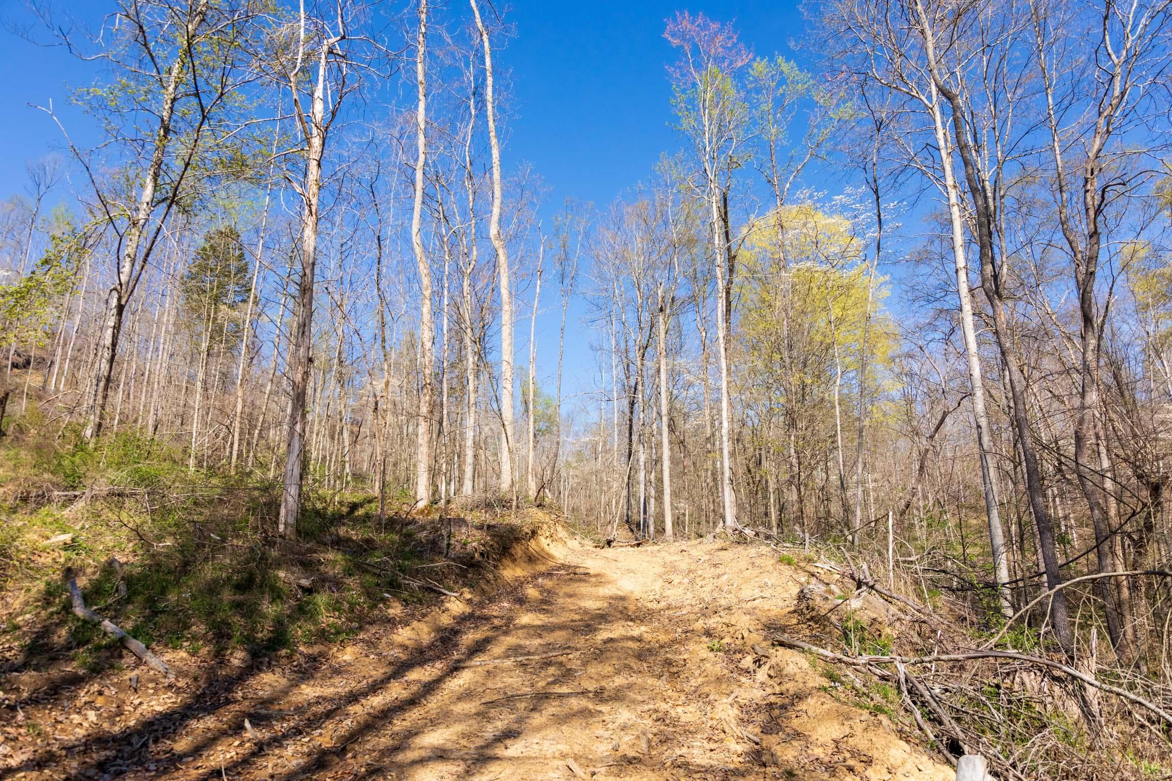 Creek Hollow Phase 1 — Zero Credit Land owner financed land for sale in Rockcastle County, Kentucky photo 59
