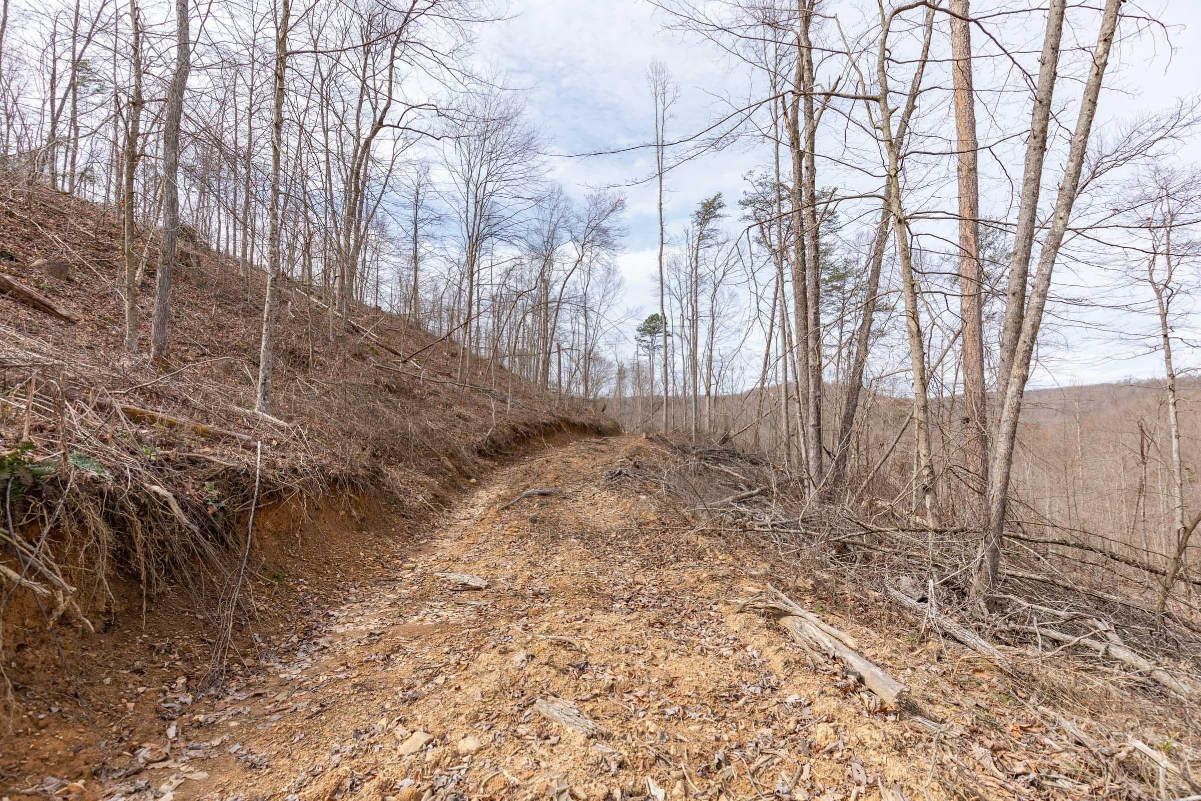 Creek Hollow Phase 1 — Zero Credit Land owner financed land for sale in Rockcastle County, Kentucky photo 28
