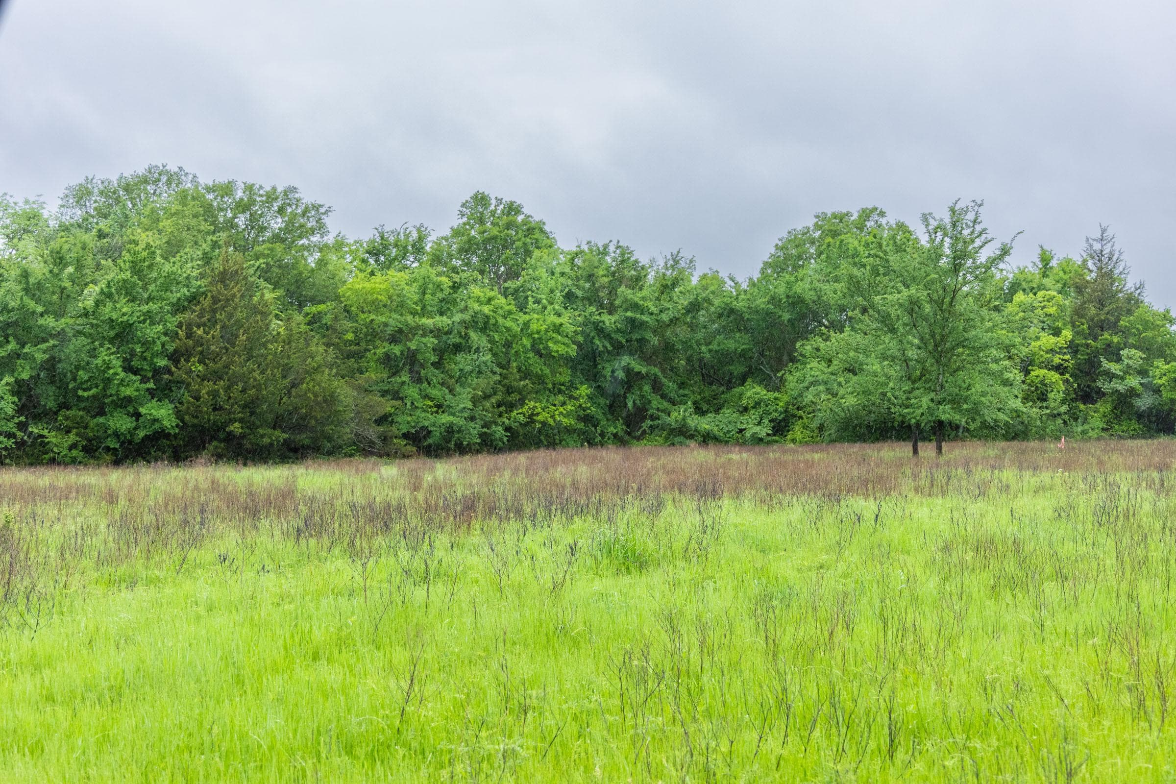 Harmony Hills — Zero Credit Land owner financed land for sale in Pittsburg County, Oklahoma photo 139