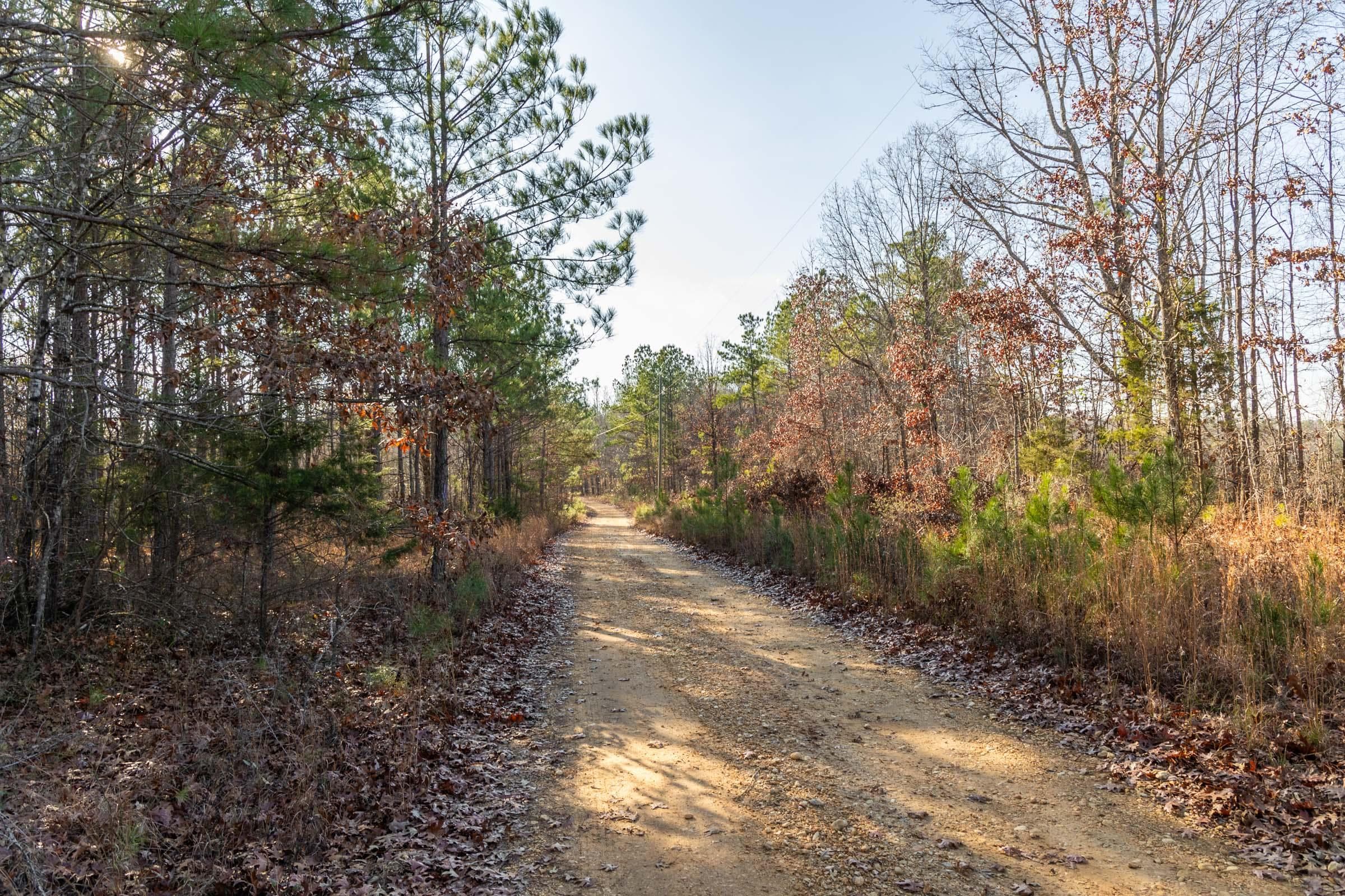 Lighting Ridge — Zero Credit Land owner financed land for sale in Colbert County, Alabama photo 18