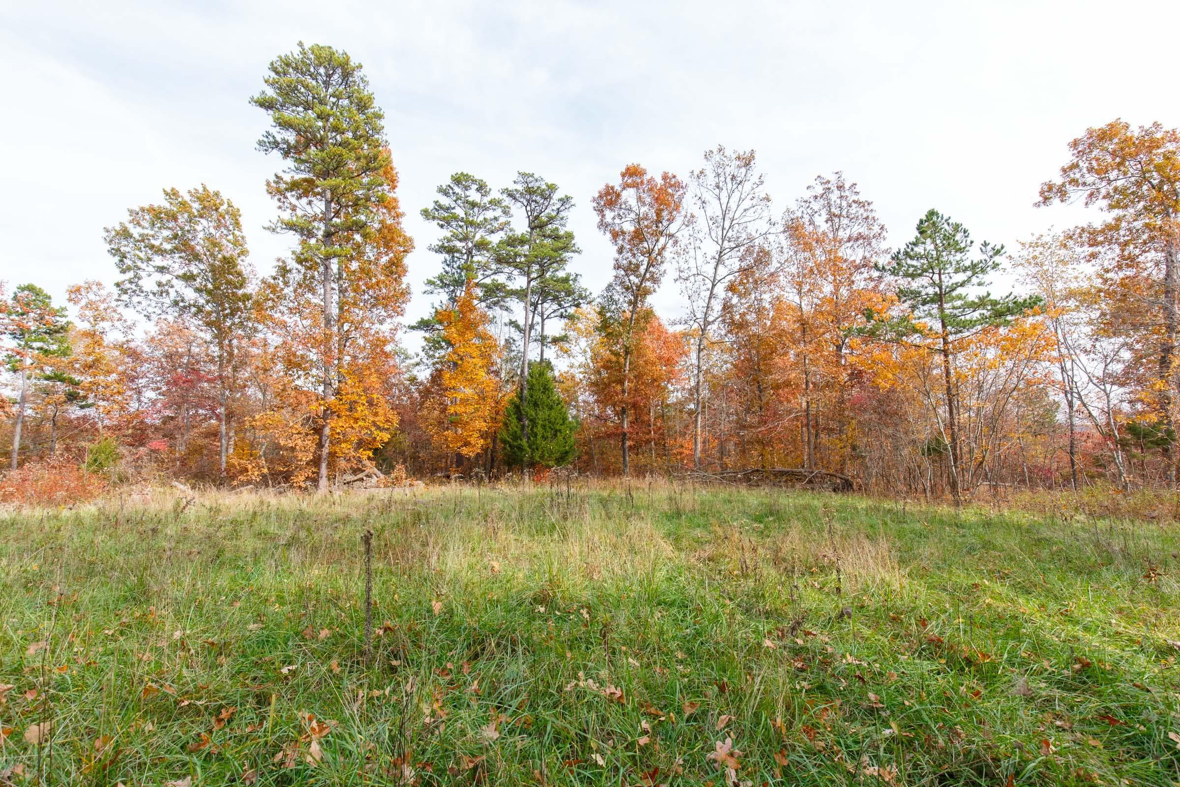Hawk Crest — Zero Credit Land owner financed land for sale in Reynolds County, Missouri photo 47