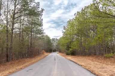 Baker Creek — Zero Credit Land owner financed land for sale in Fayette County, Alabama photo 24