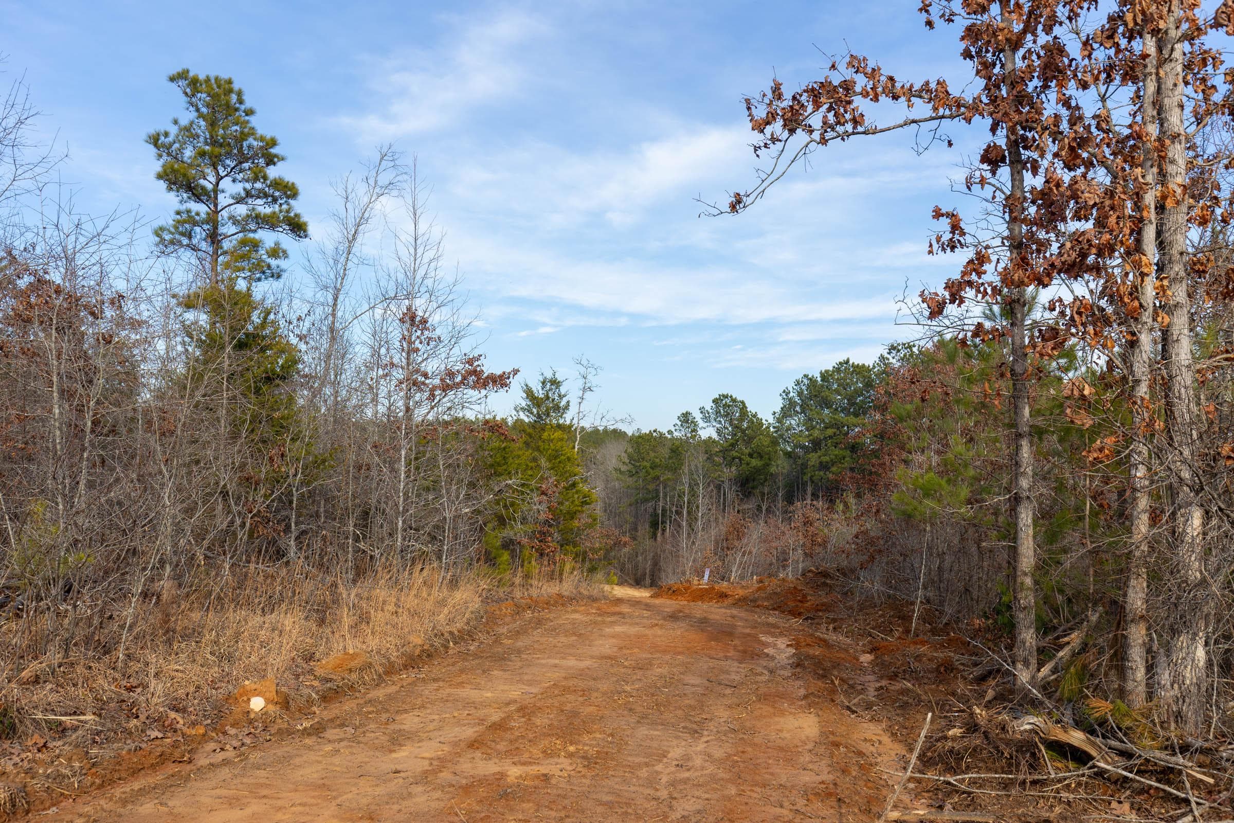 Baker Creek — Zero Credit Land owner financed land for sale in Fayette County, Alabama photo 8
