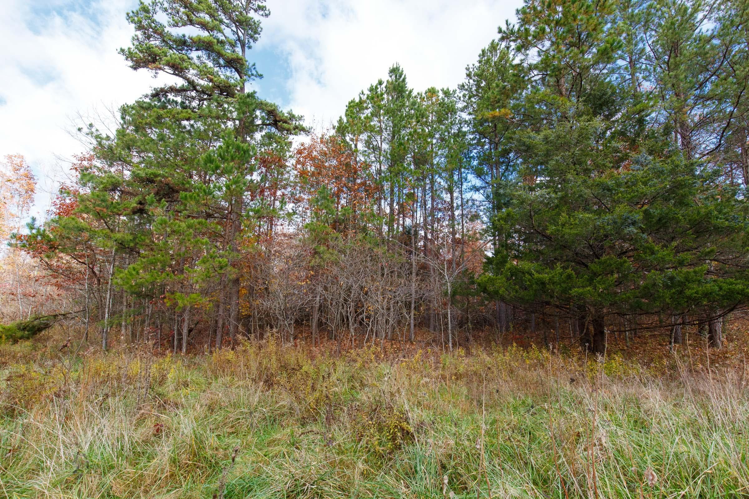 Hawk Crest — Zero Credit Land owner financed land for sale in Reynolds County, Missouri