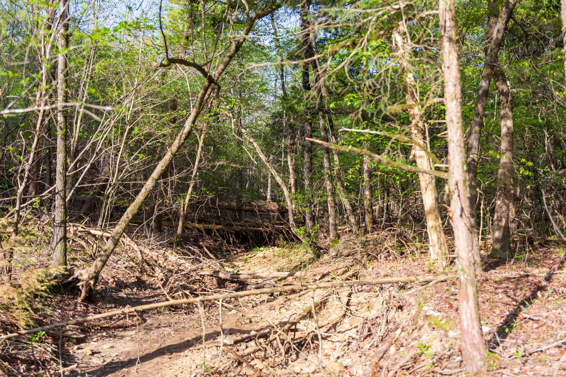  Autumnwood — Zero Credit Land owner financed land for sale in Fulton County, Arkansas photo 17