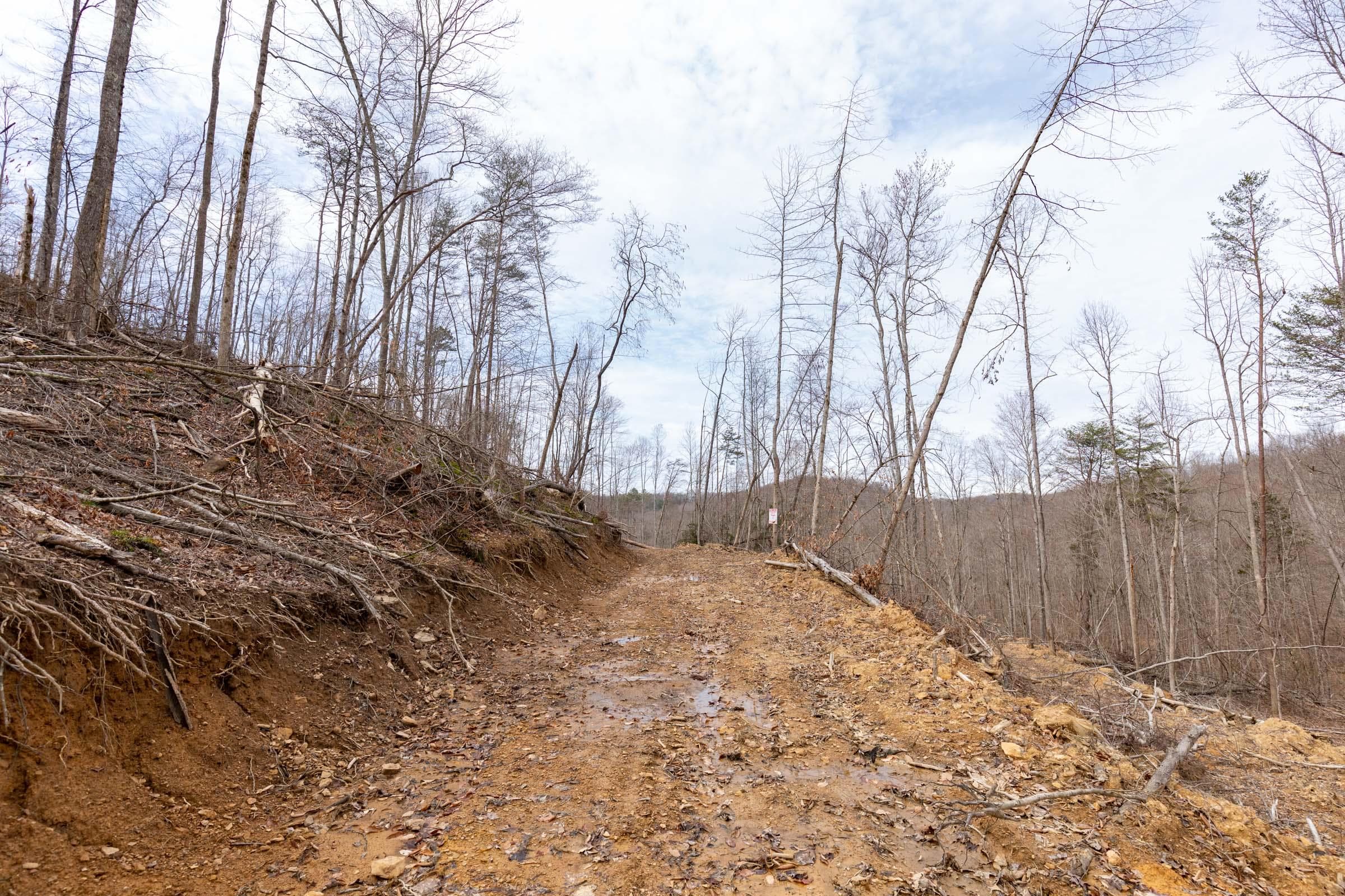 Creek Hollow Phase 1 — Zero Credit Land owner financed land for sale in Rockcastle County, Kentucky photo 29