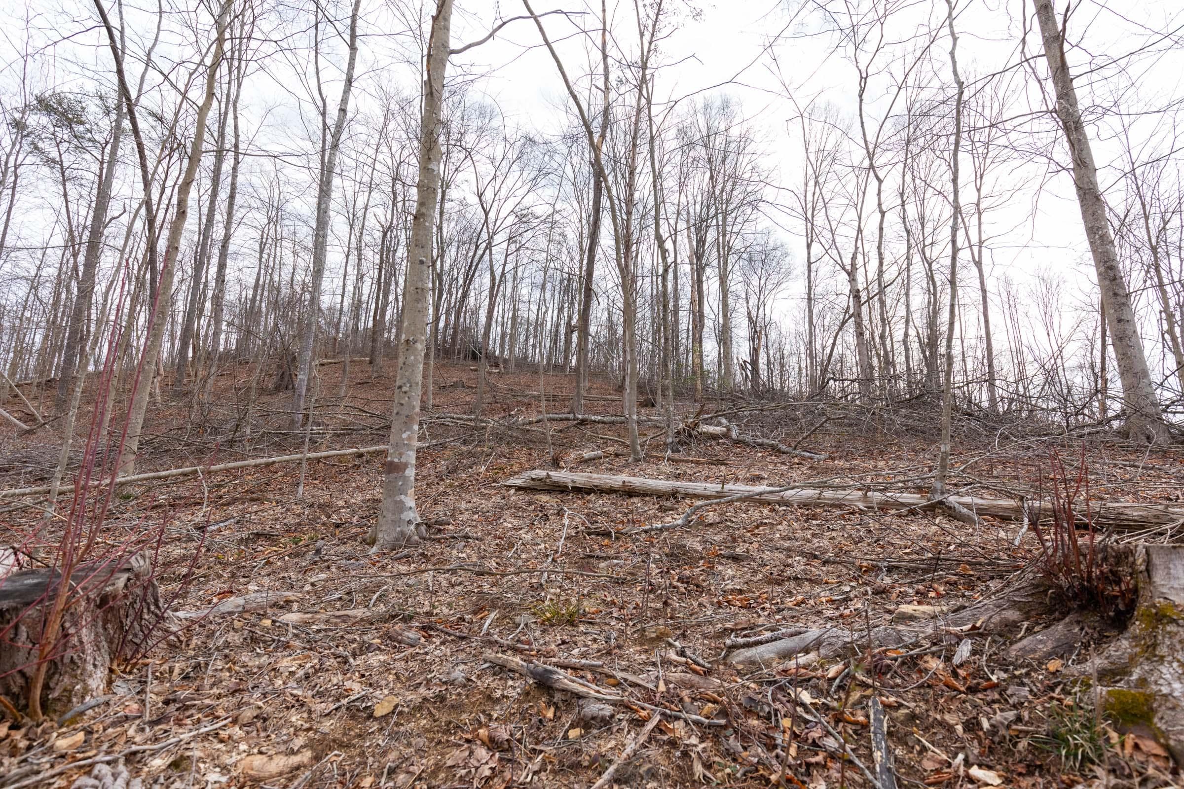 Creek Hollow Phase 1 — Zero Credit Land owner financed land for sale in Rockcastle County, Kentucky photo 62