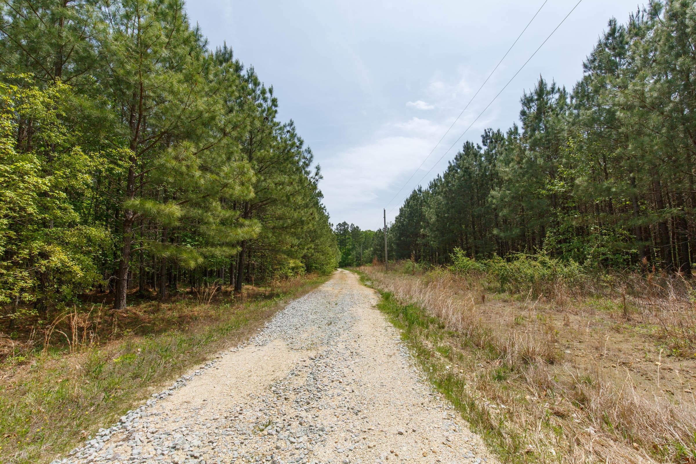 Red Barn Ranch — Zero Credit Land owner financed land for sale in Benton County, Tennessee photo 9