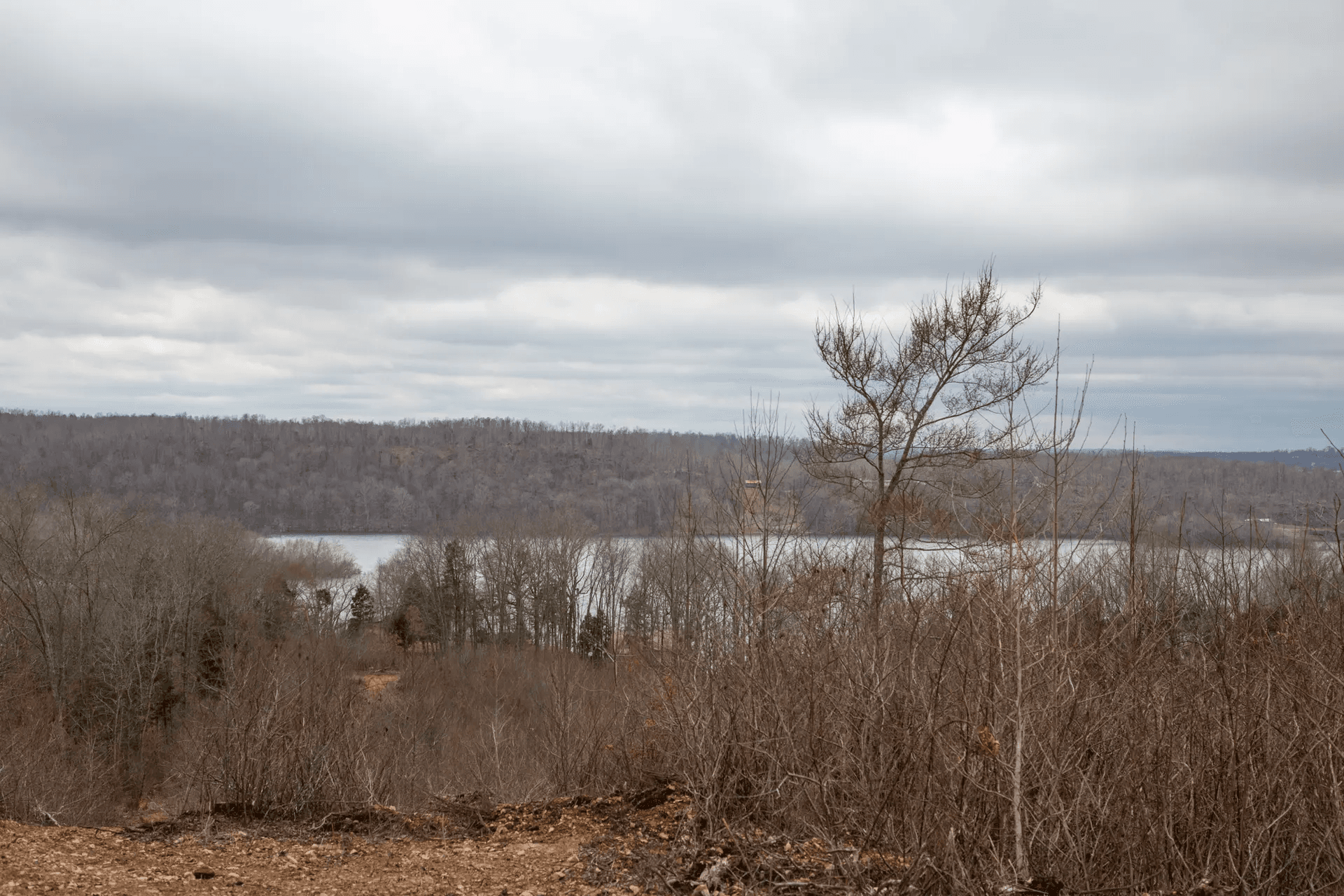 South Wind Ranch — Zero Credit Land owner financed land for sale in Perry County, Tennessee photo 3