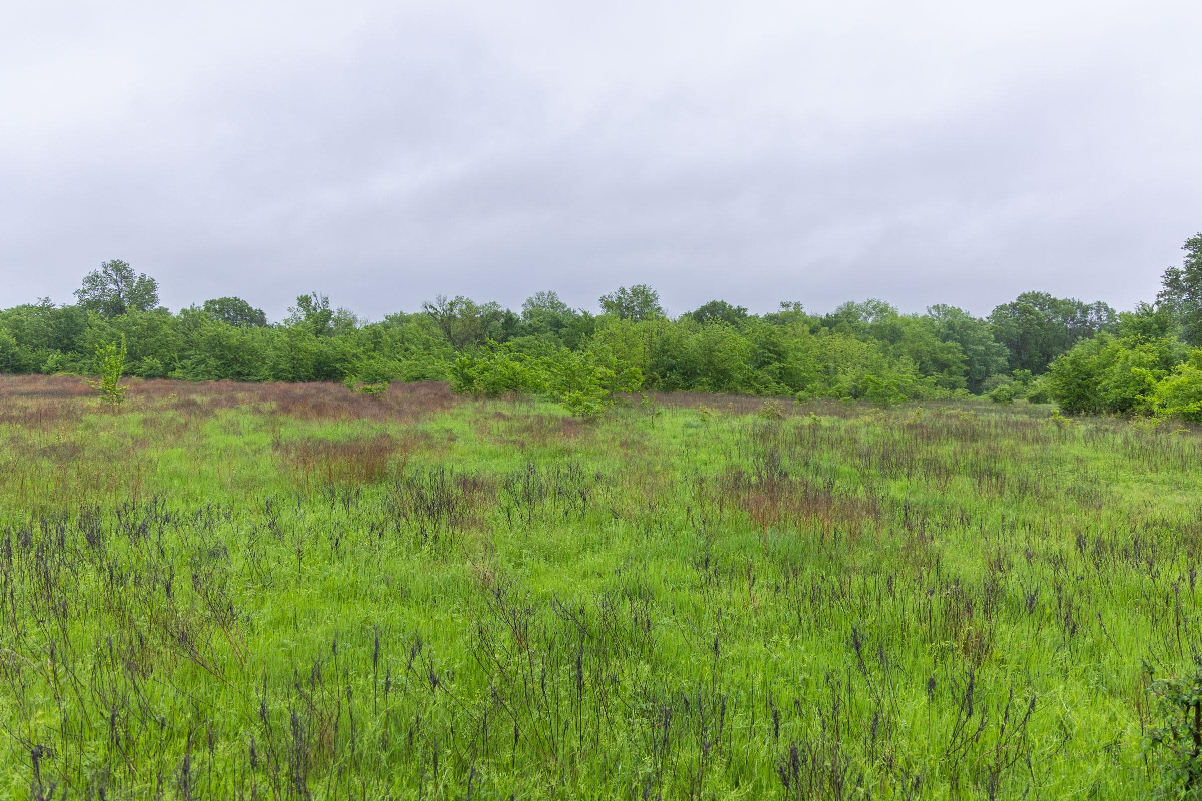 Harmony Hills — Zero Credit Land owner financed land for sale in Pittsburg County, Oklahoma photo 131