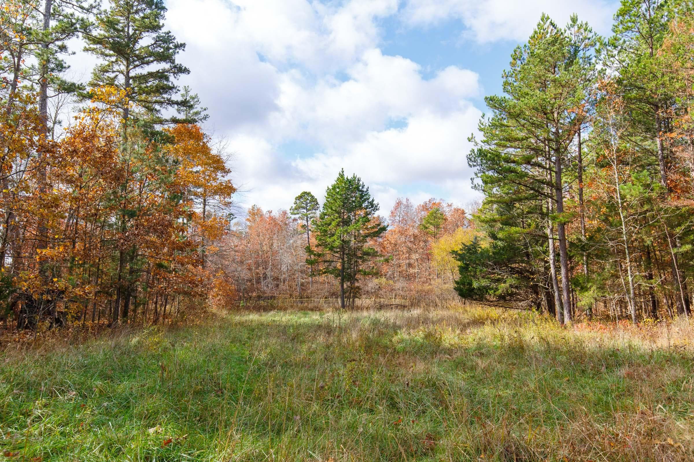 Hawk Crest — Zero Credit Land owner financed land for sale in Reynolds County, Missouri photo 45