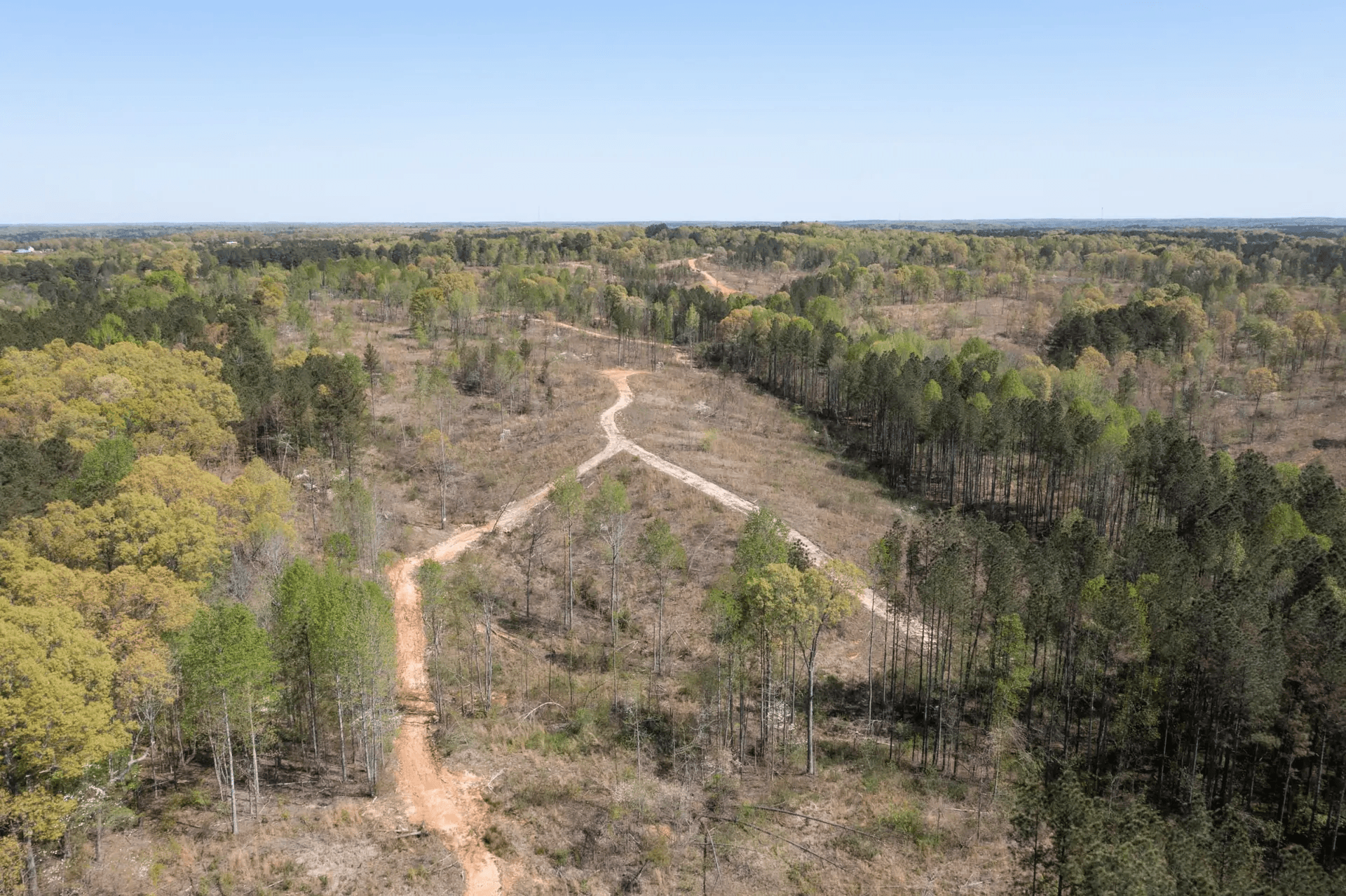 Twin Rivers — Zero Credit Land owner financed land for sale in Henderson County, Tennessee photo 7