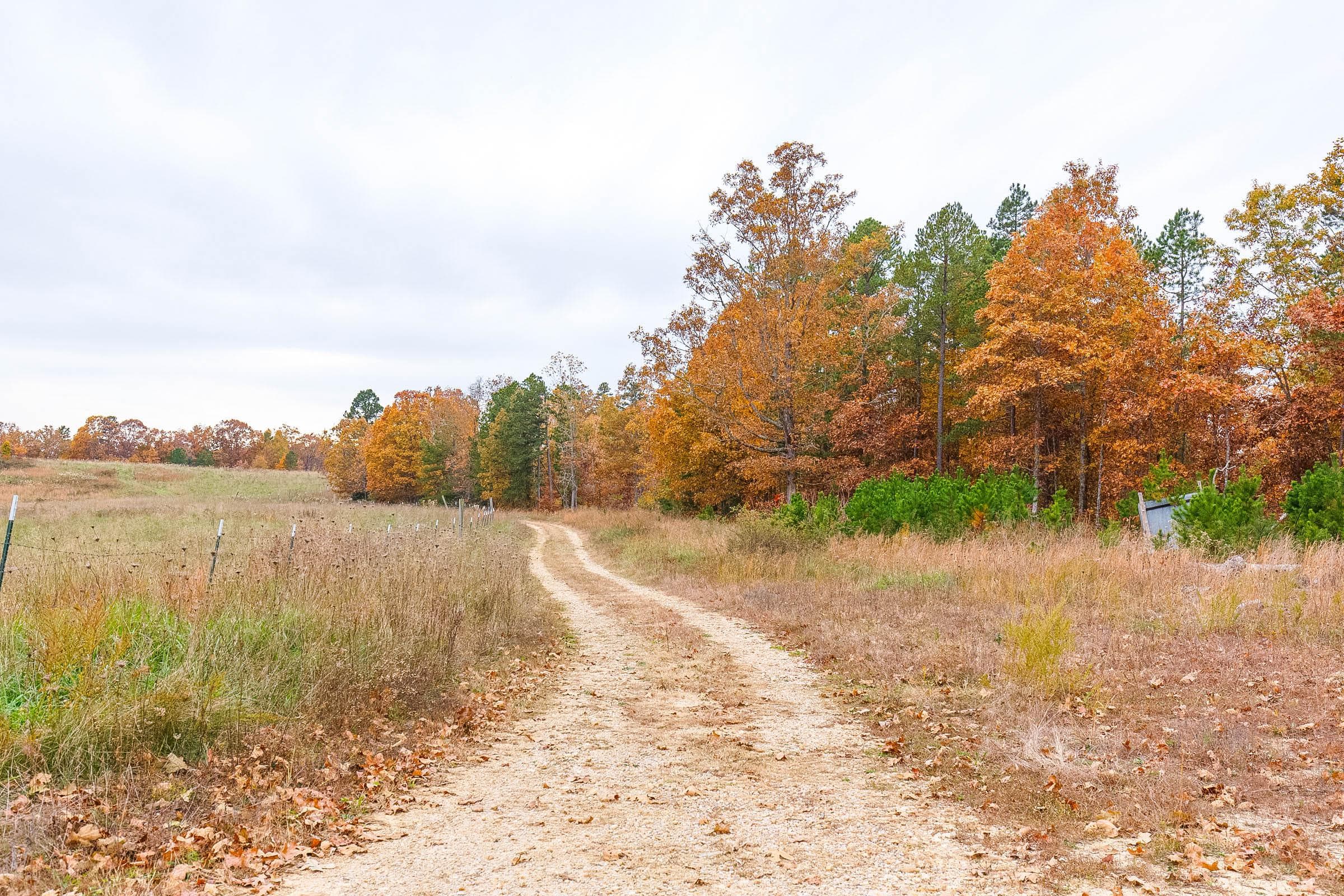 Hawk Crest — Zero Credit Land owner financed land for sale in Reynolds County, Missouri photo 3