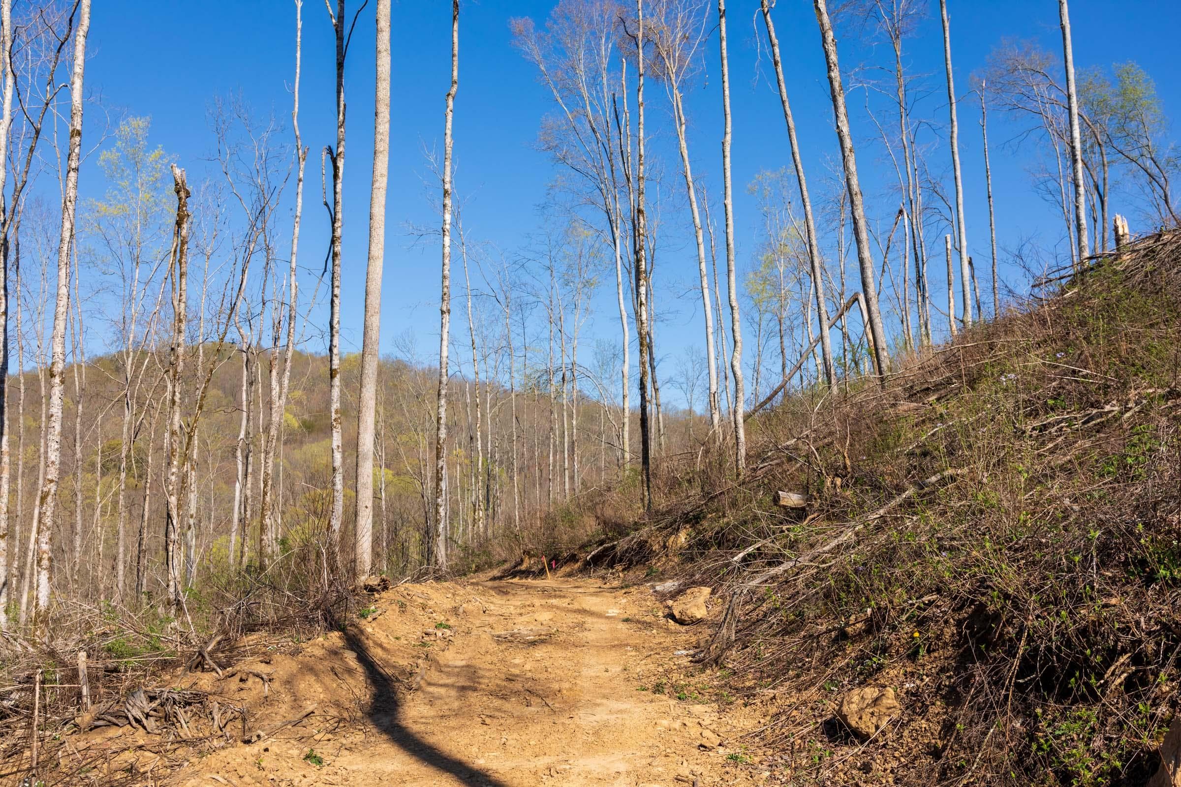 Creek Hollow Phase 1 — Zero Credit Land owner financed land for sale in Rockcastle County, Kentucky photo 48