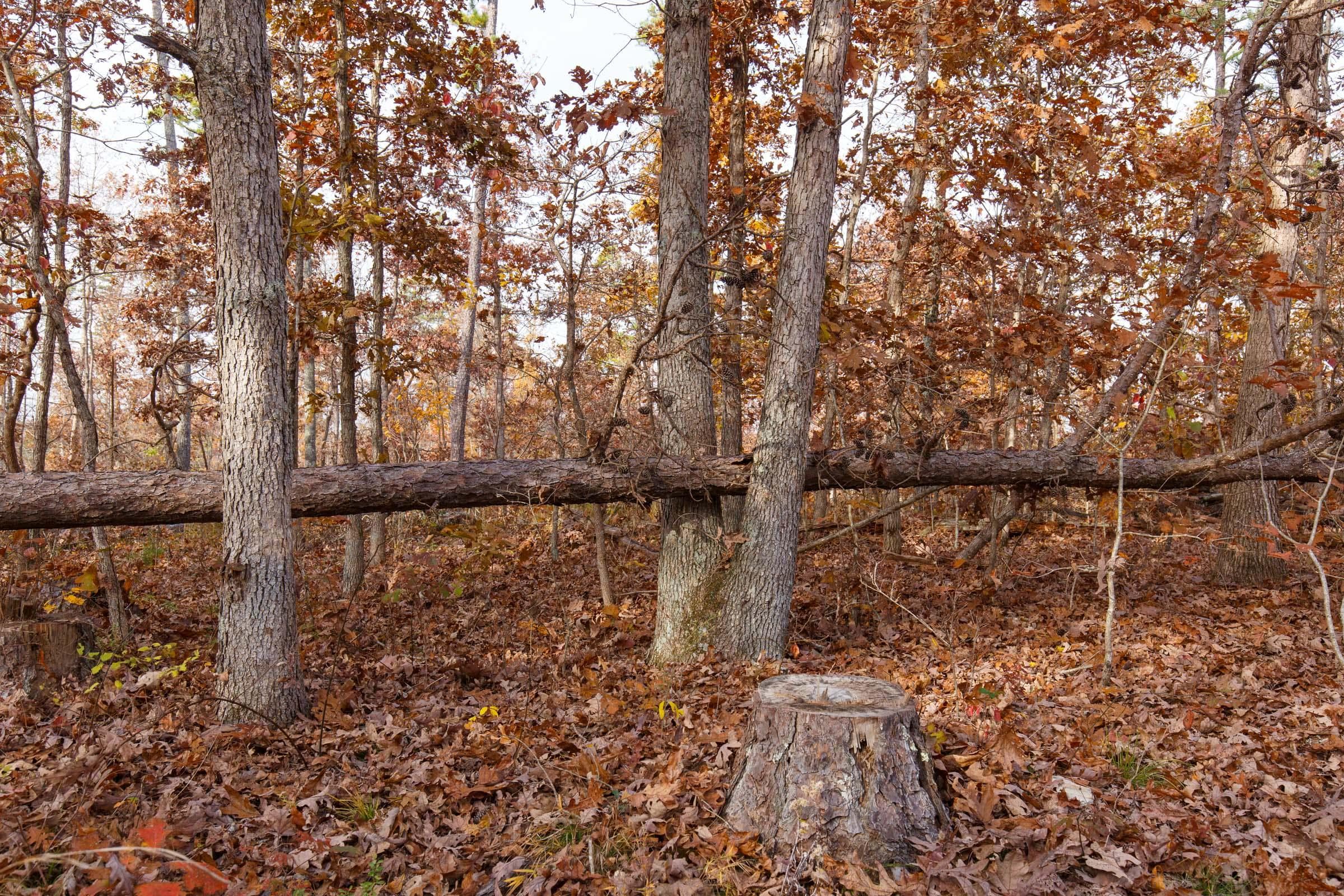 Hawk Crest — Zero Credit Land owner financed land for sale in Reynolds County, Missouri photo 4