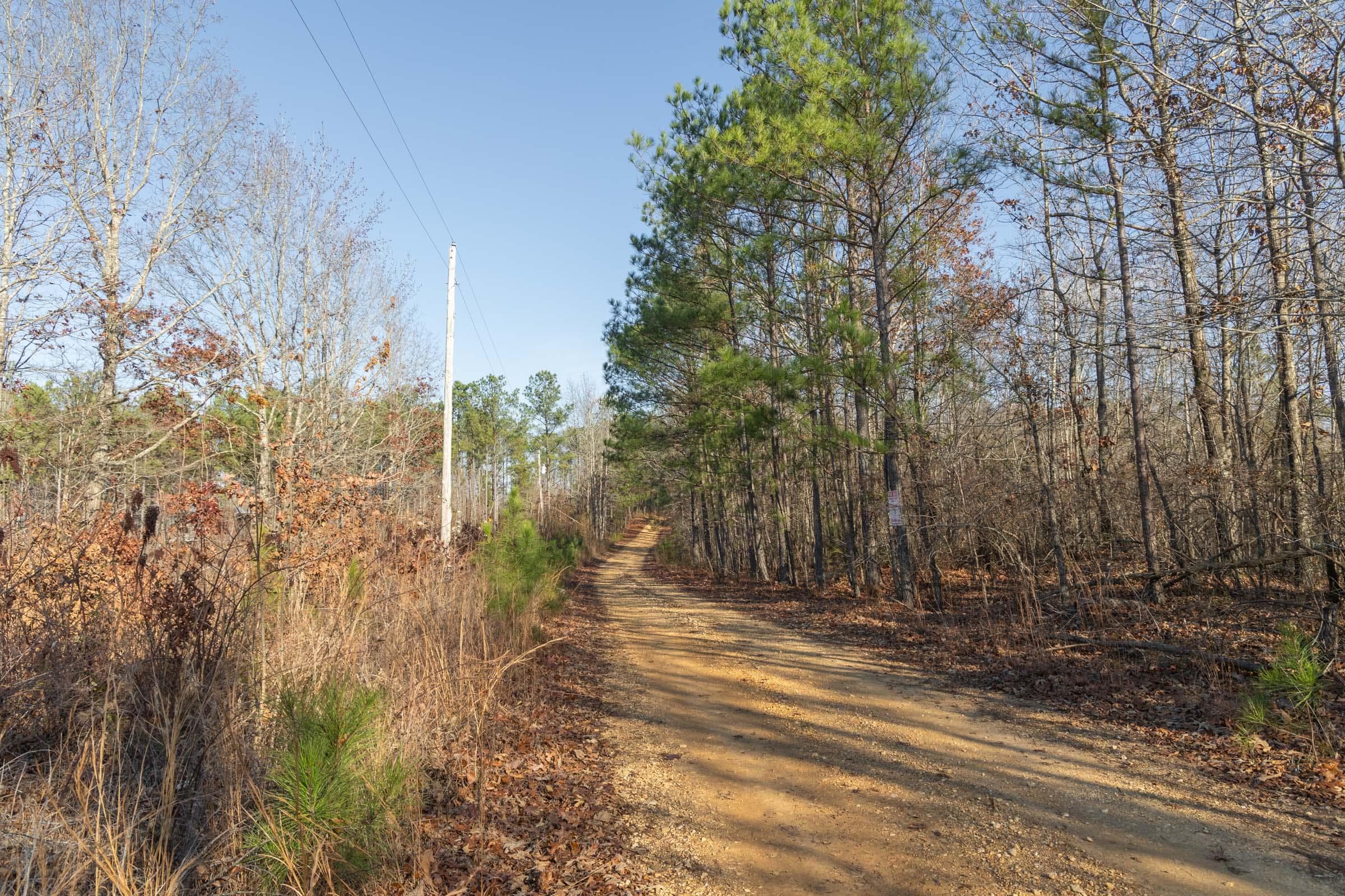 Lighting Ridge — Zero Credit Land owner financed land for sale in Colbert County, Alabama photo 15