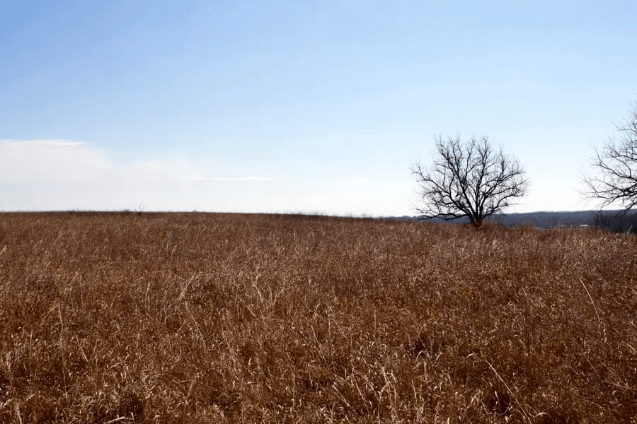 Cowboy Meadows — Zero Credit Land owner financed land for sale in Chautauqua County, Kansas photo 2