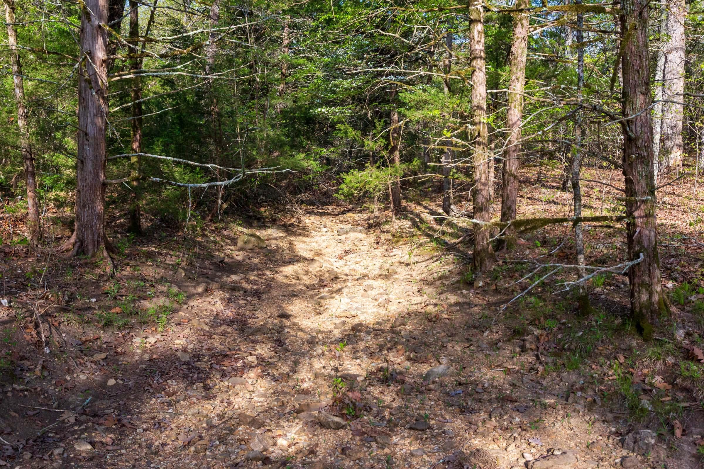  Autumnwood — Zero Credit Land owner financed land for sale in Fulton County, Arkansas photo 16