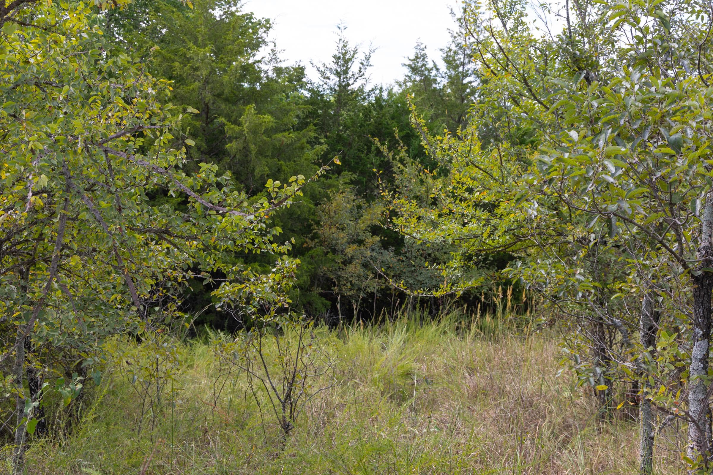  Reserves At Cattail Cove Phase II — Zero Credit Land owner financed land for sale in Pittsburg County, Oklahoma photo 63