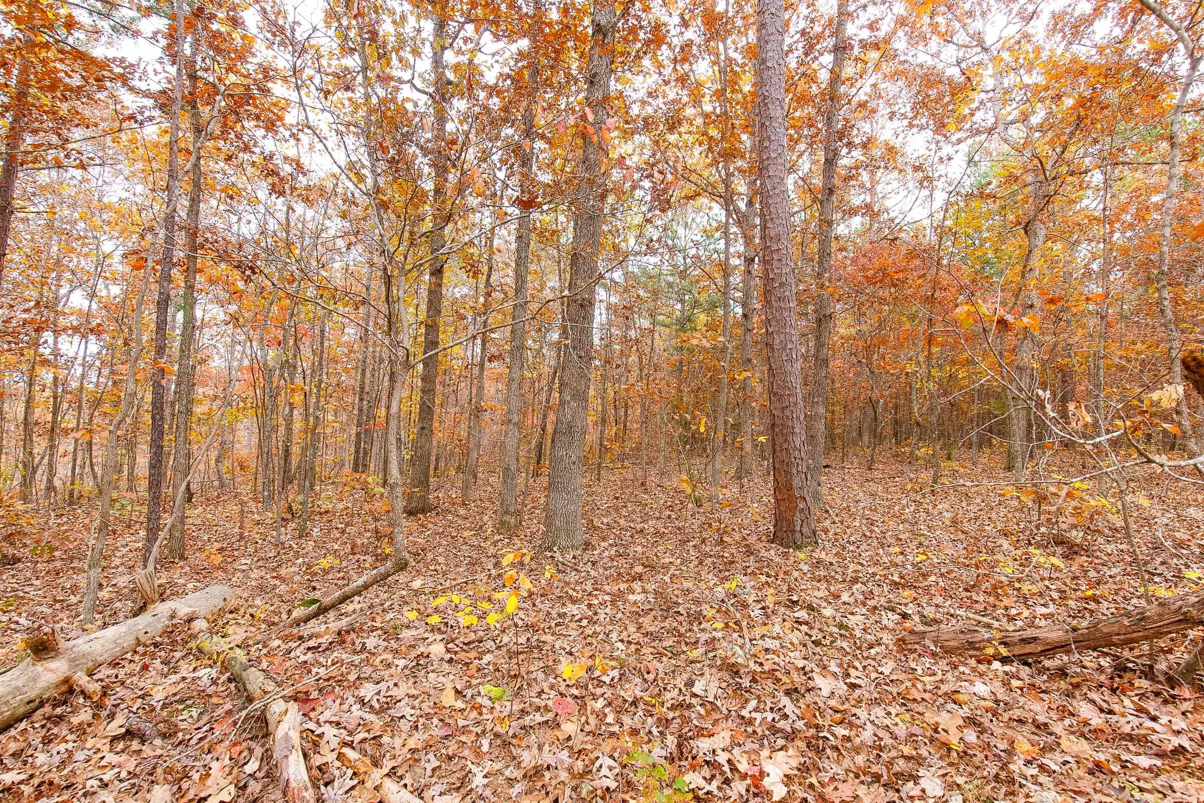 Hawk Crest — Zero Credit Land owner financed land for sale in Reynolds County, Missouri