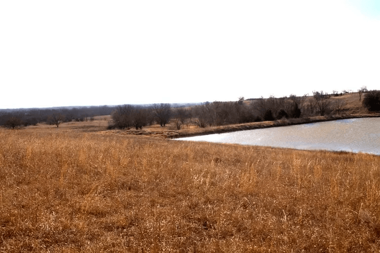 Cowboy Meadows — Zero Credit Land owner financed land for sale in Chautauqua County, Kansas photo 2