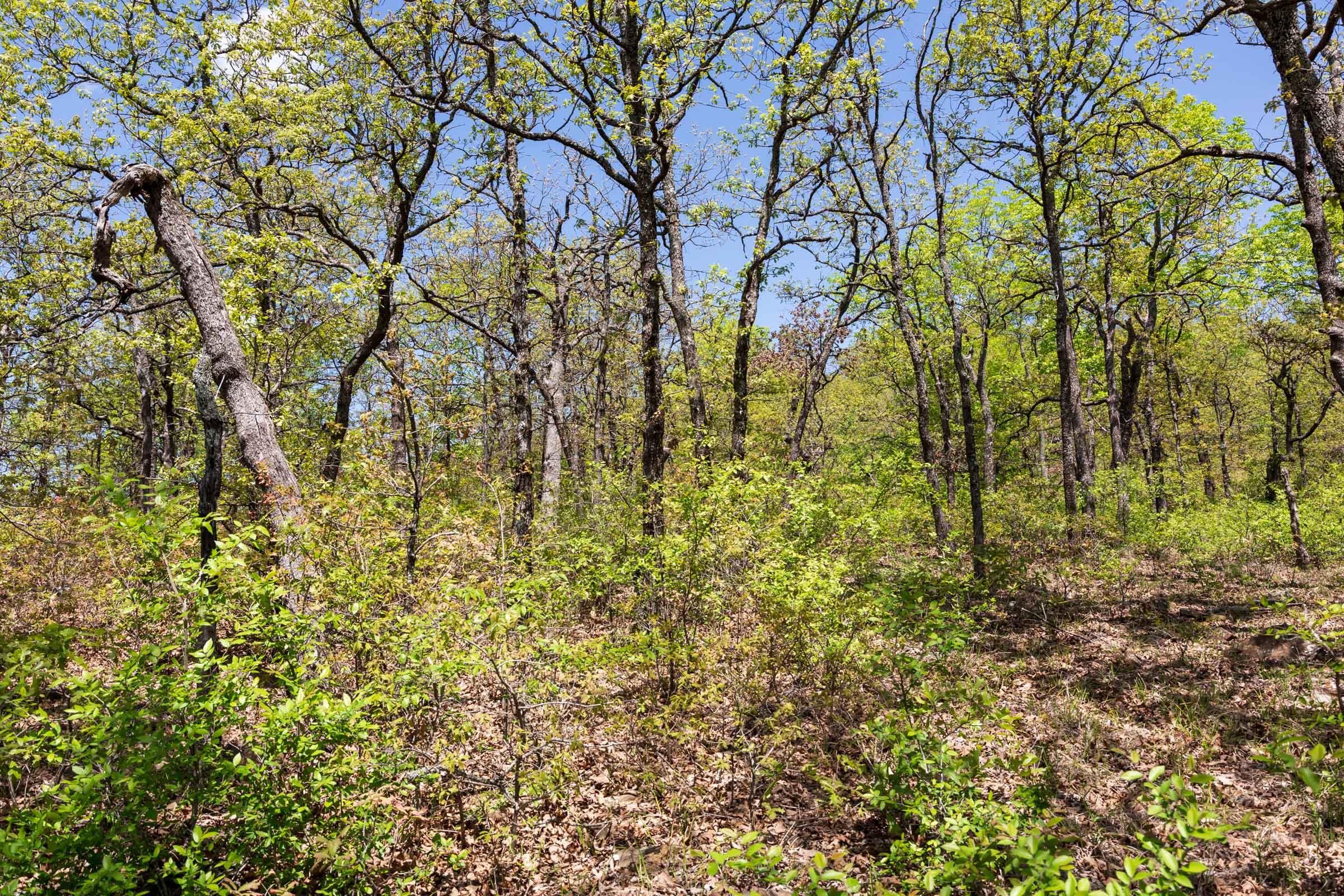 Allies Acres — Zero Credit Land owner financed land for sale in Pittsburg County, Oklahoma