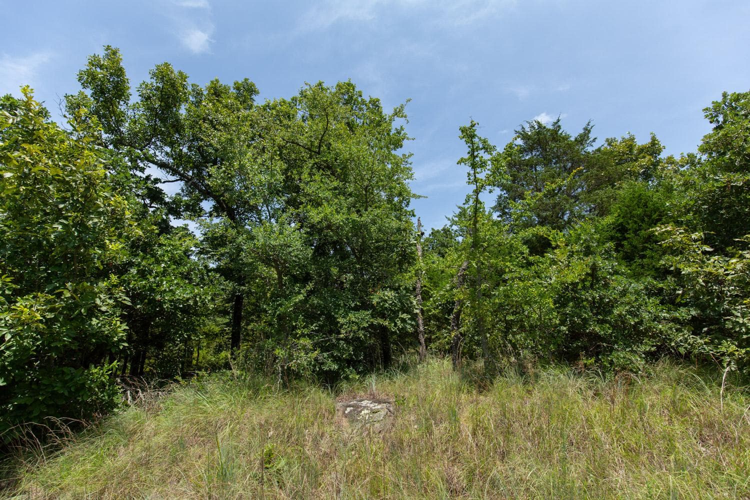 Timber Ridge — Zero Credit Land owner financed land for sale in McIntosh County, Oklahoma photo 7
