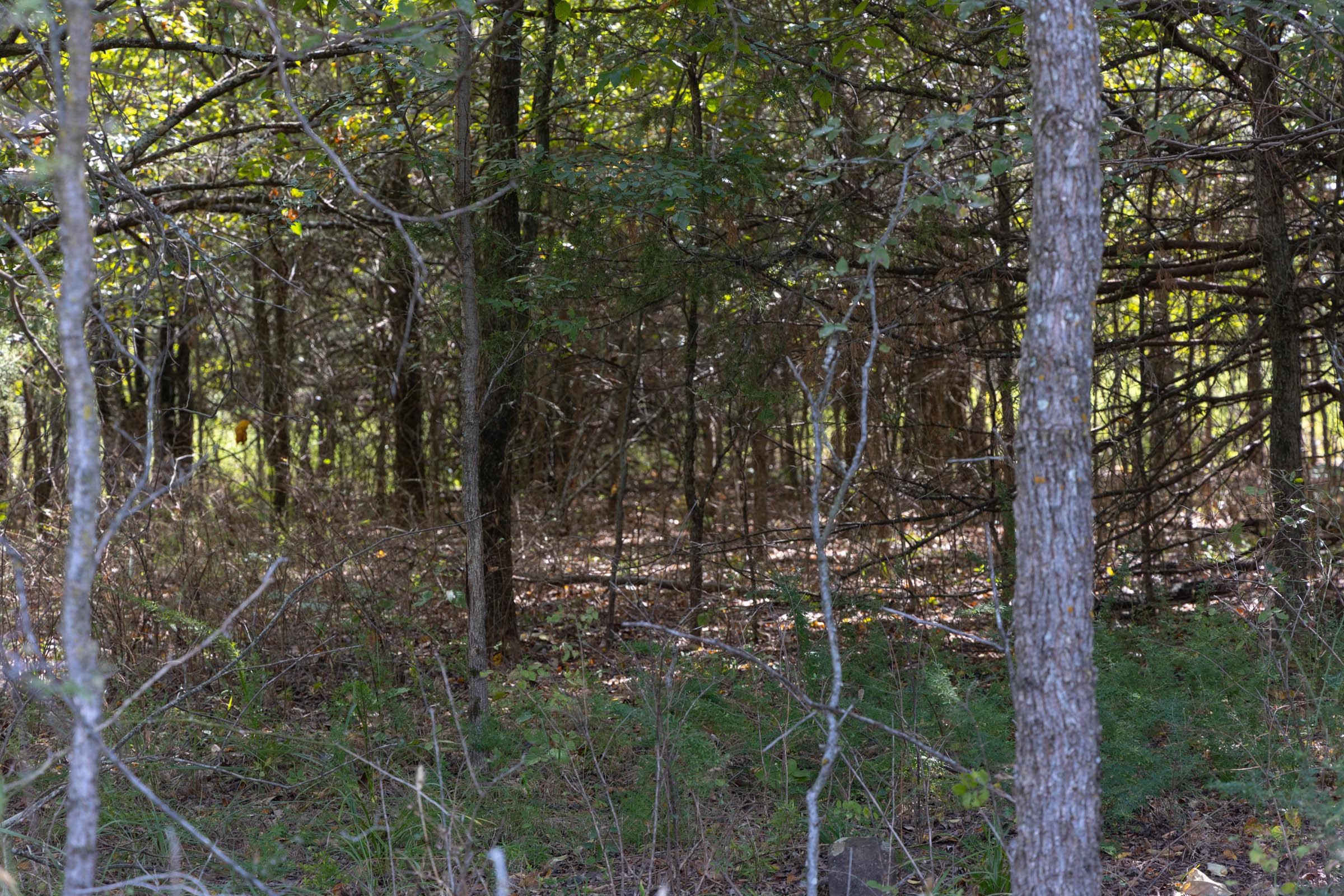  Reserves At Cattail Cove Phase II — Zero Credit Land owner financed land for sale in Pittsburg County, Oklahoma photo 57