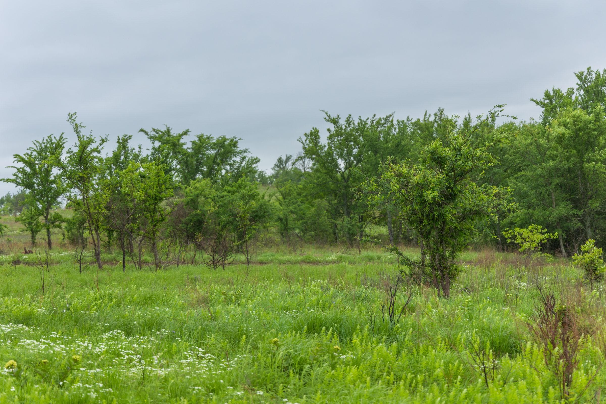 Harmony Hills — Zero Credit Land owner financed land for sale in Pittsburg County, Oklahoma photo 167