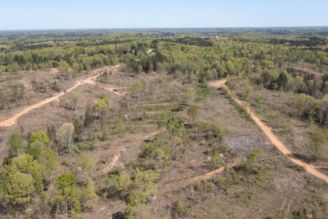 Twin Rivers — Zero Credit Land owner financed land for sale in Henderson County, Tennessee photo 35