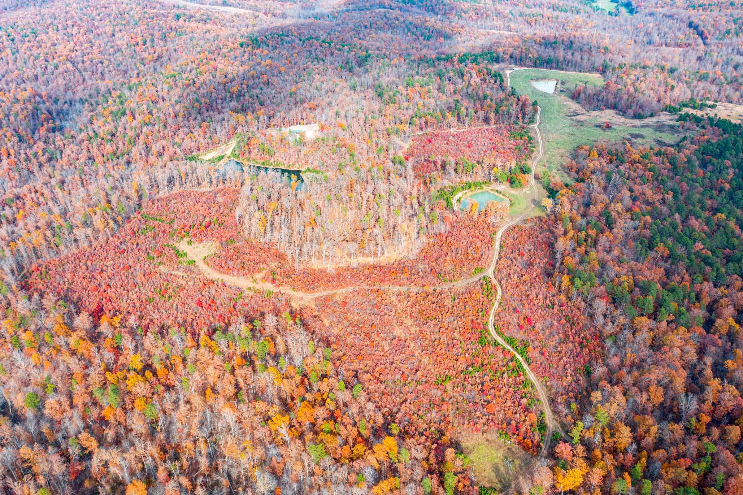Hawk Crest — Zero Credit Land owner financed land for sale in Reynolds County, Missouri photo 46