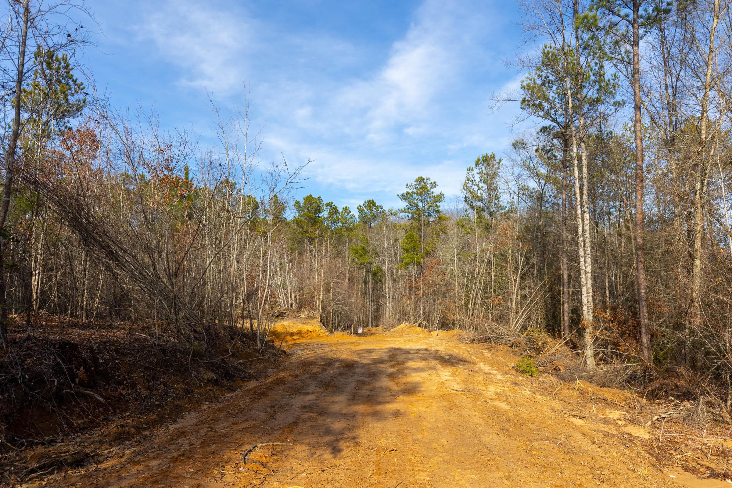 Baker Creek — Zero Credit Land owner financed land for sale in Fayette County, Alabama photo 9