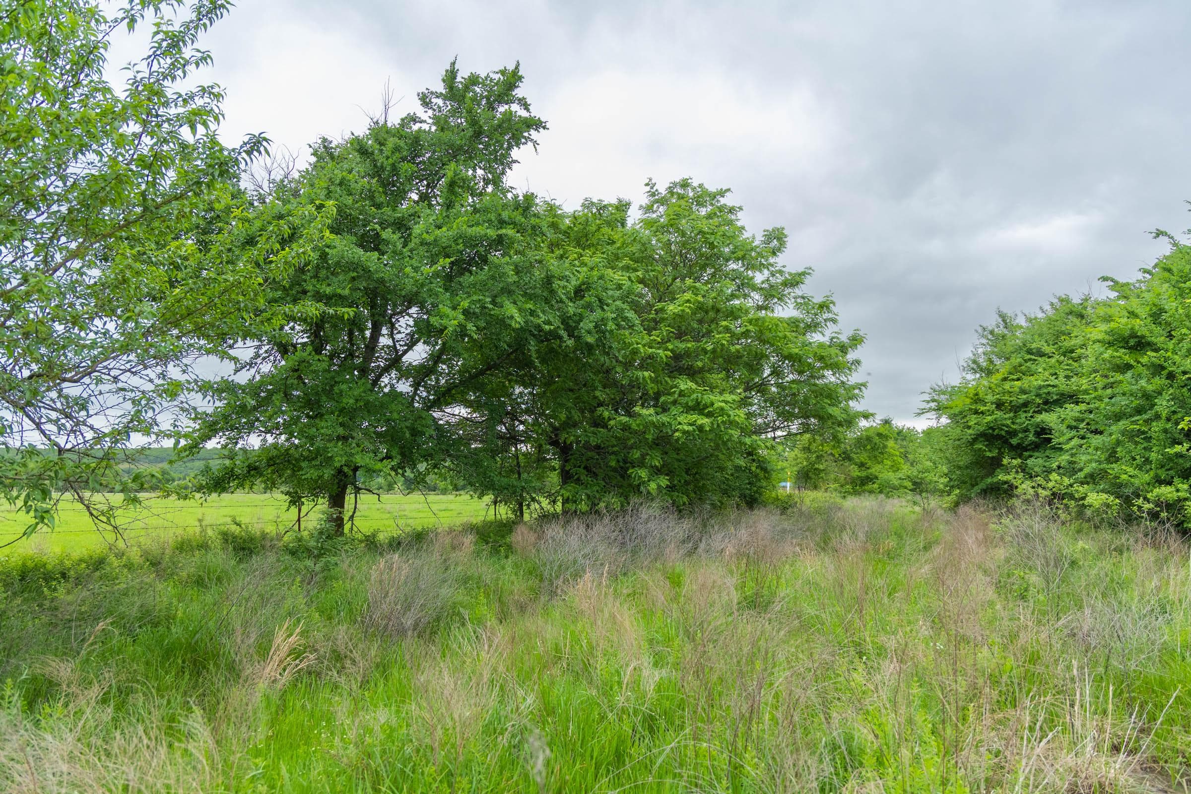 Harmony Hills — Zero Credit Land owner financed land for sale in Pittsburg County, Oklahoma photo 185