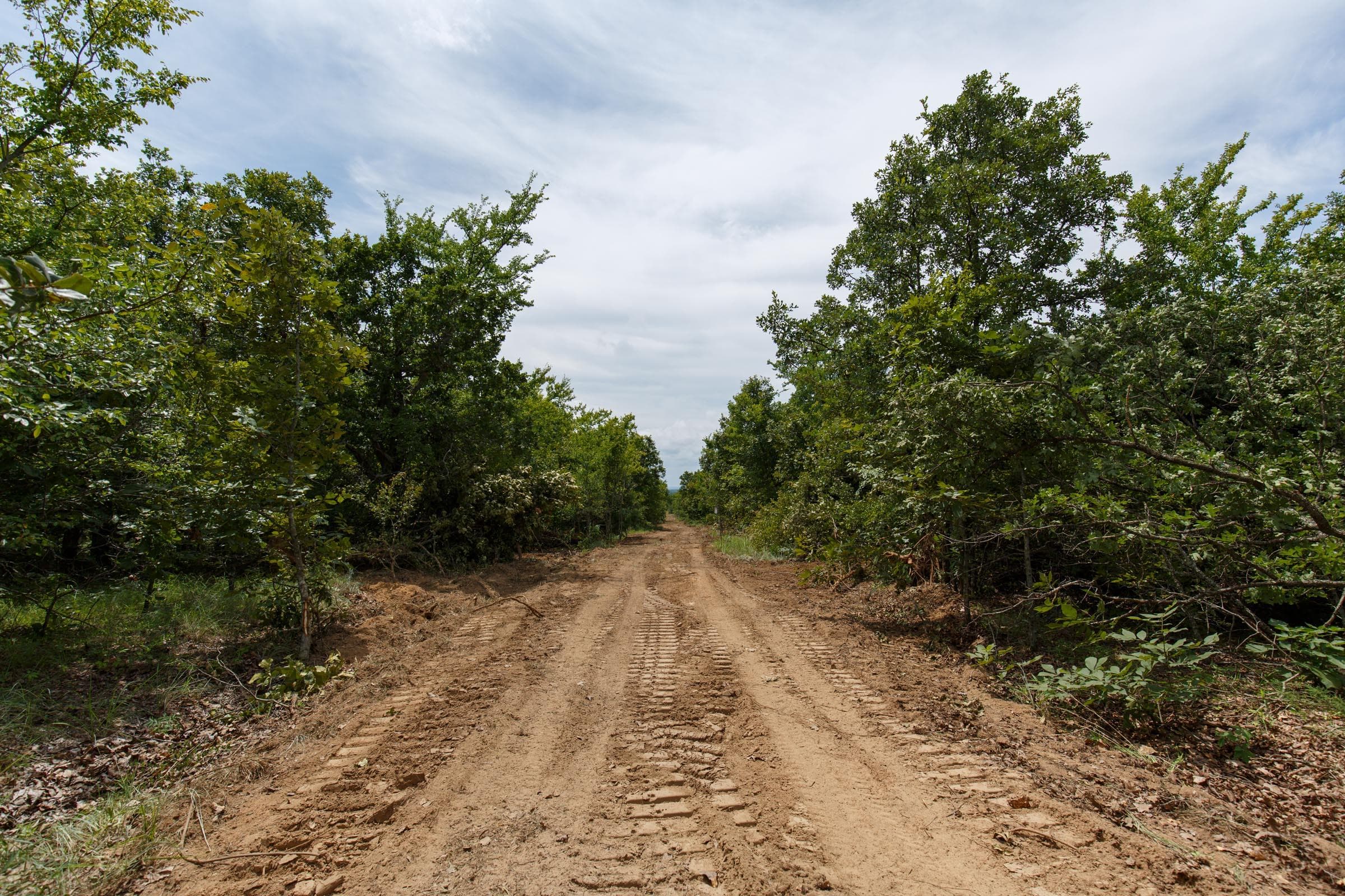 Timber Ridge — Zero Credit Land owner financed land for sale in McIntosh County, Oklahoma photo 18