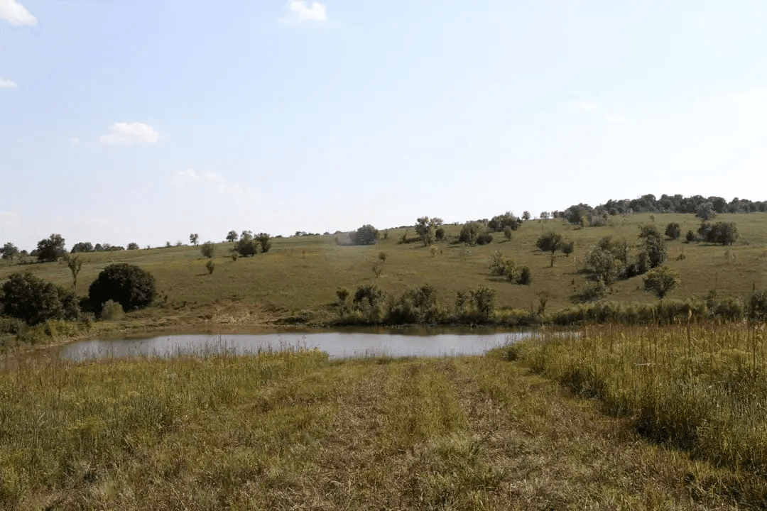 Cowboy Meadows — Zero Credit Land owner financed land for sale in Chautauqua County, Kansas photo 5