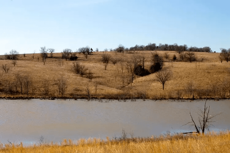 Cowboy Meadows — Zero Credit Land owner financed land for sale in Chautauqua County, Kansas photo 4