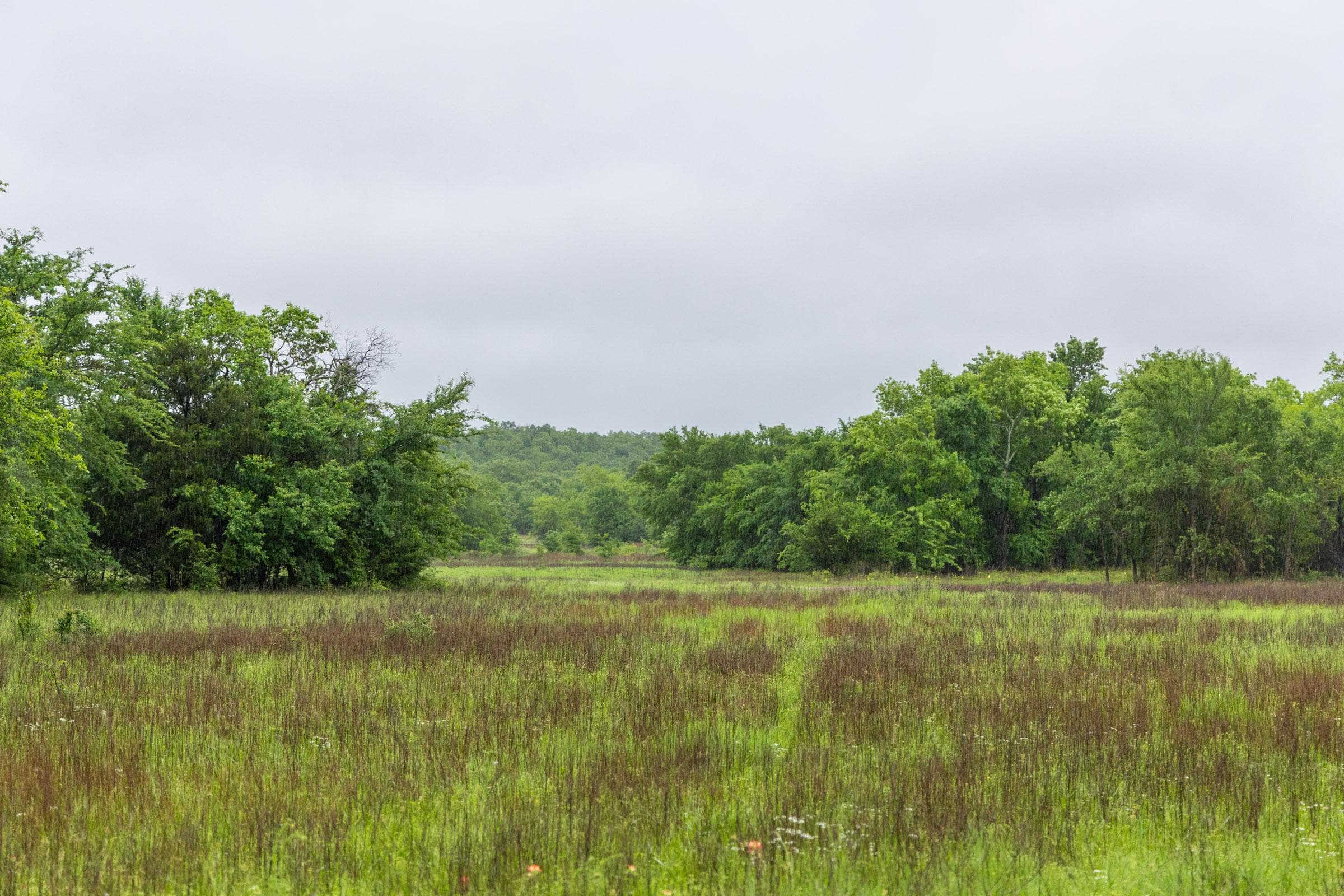 Harmony Hills — Zero Credit Land owner financed land for sale in Pittsburg County, Oklahoma photo 142
