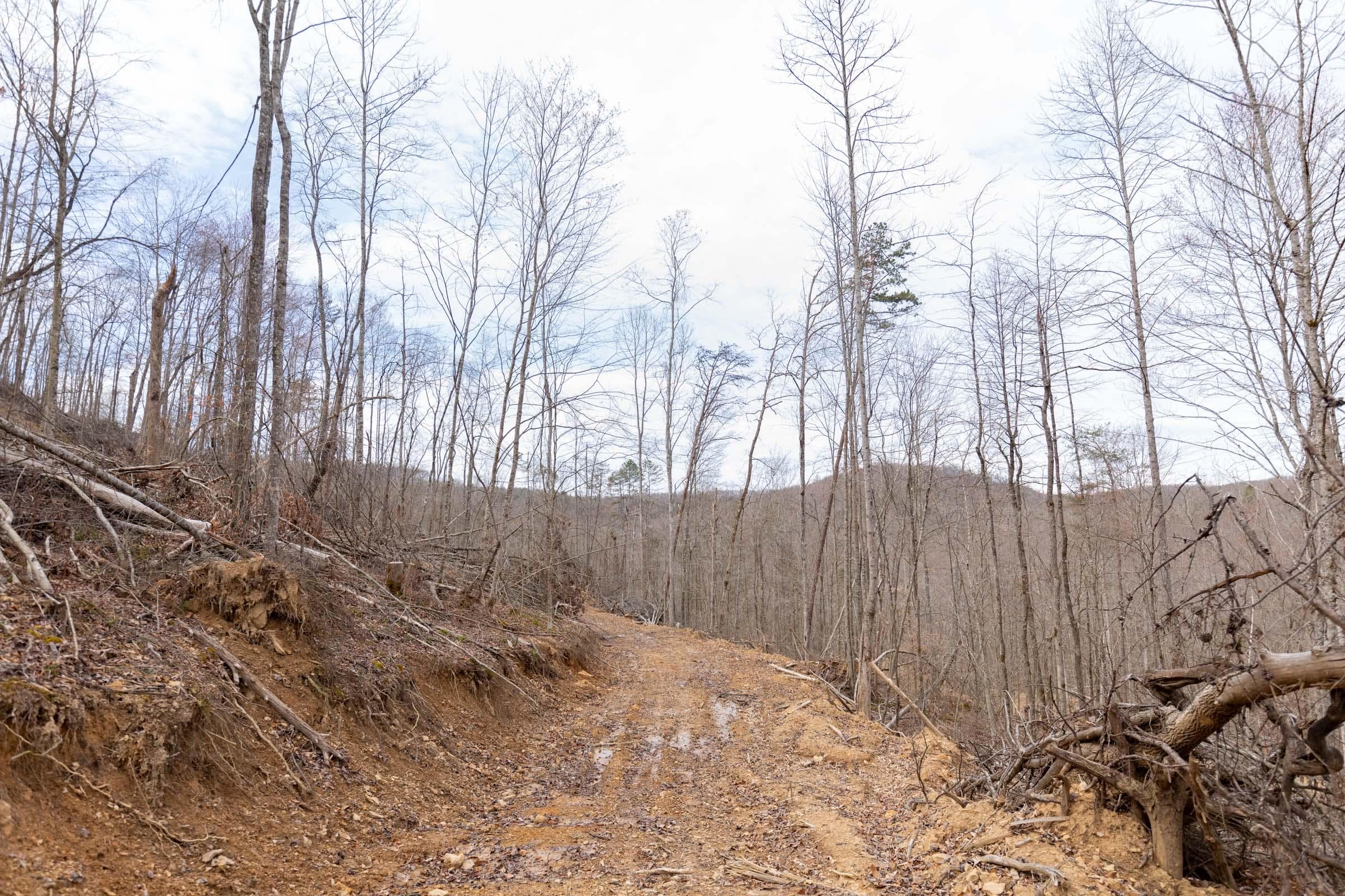 Creek Hollow Phase 1 — Zero Credit Land owner financed land for sale in Rockcastle County, Kentucky photo 61